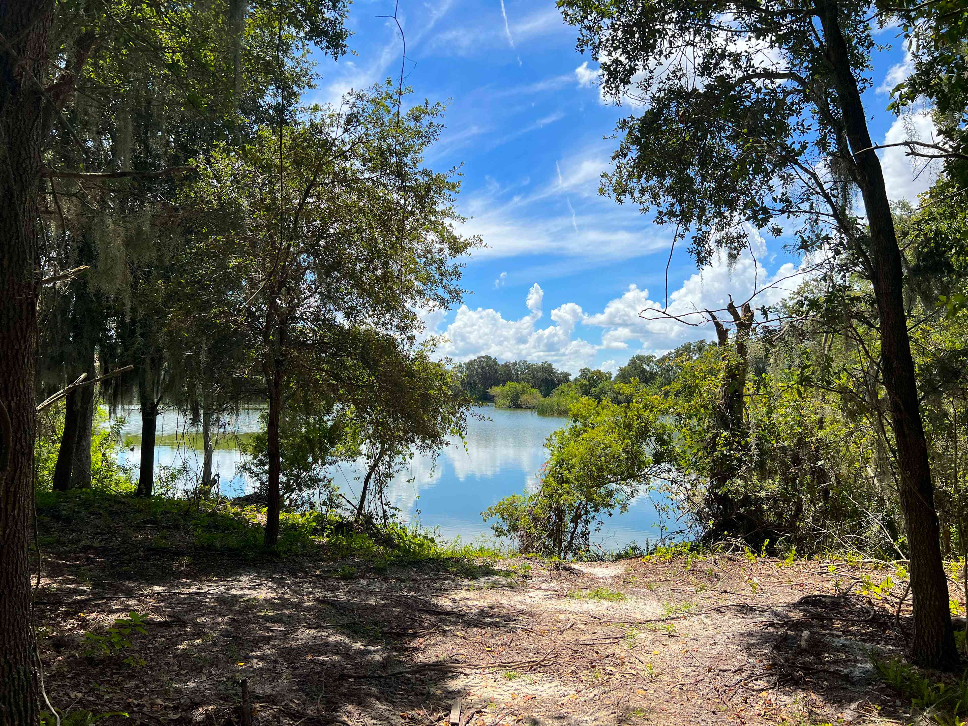 One of our gorgeous primitive camping areas!