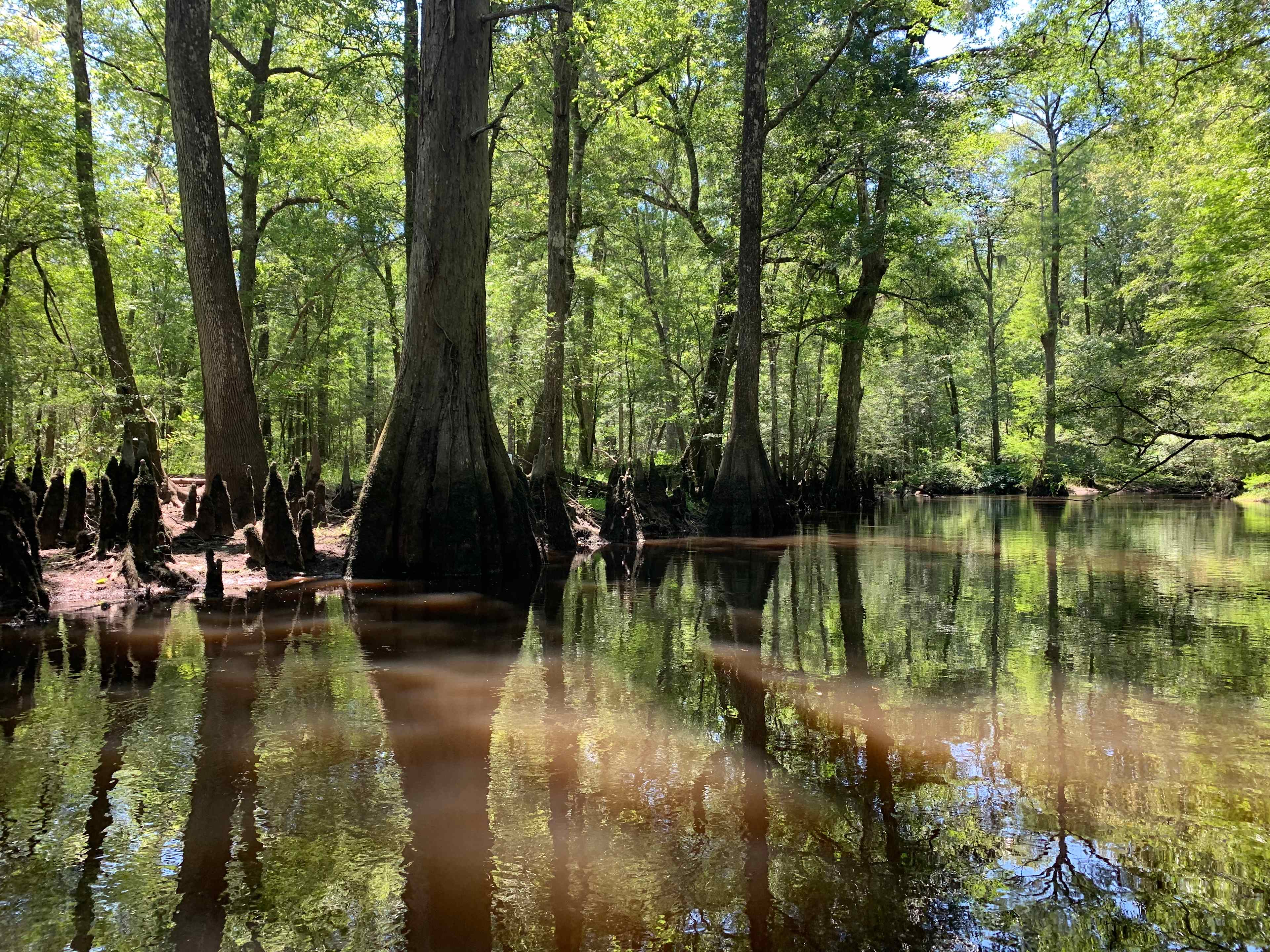 Black Pearl Farms