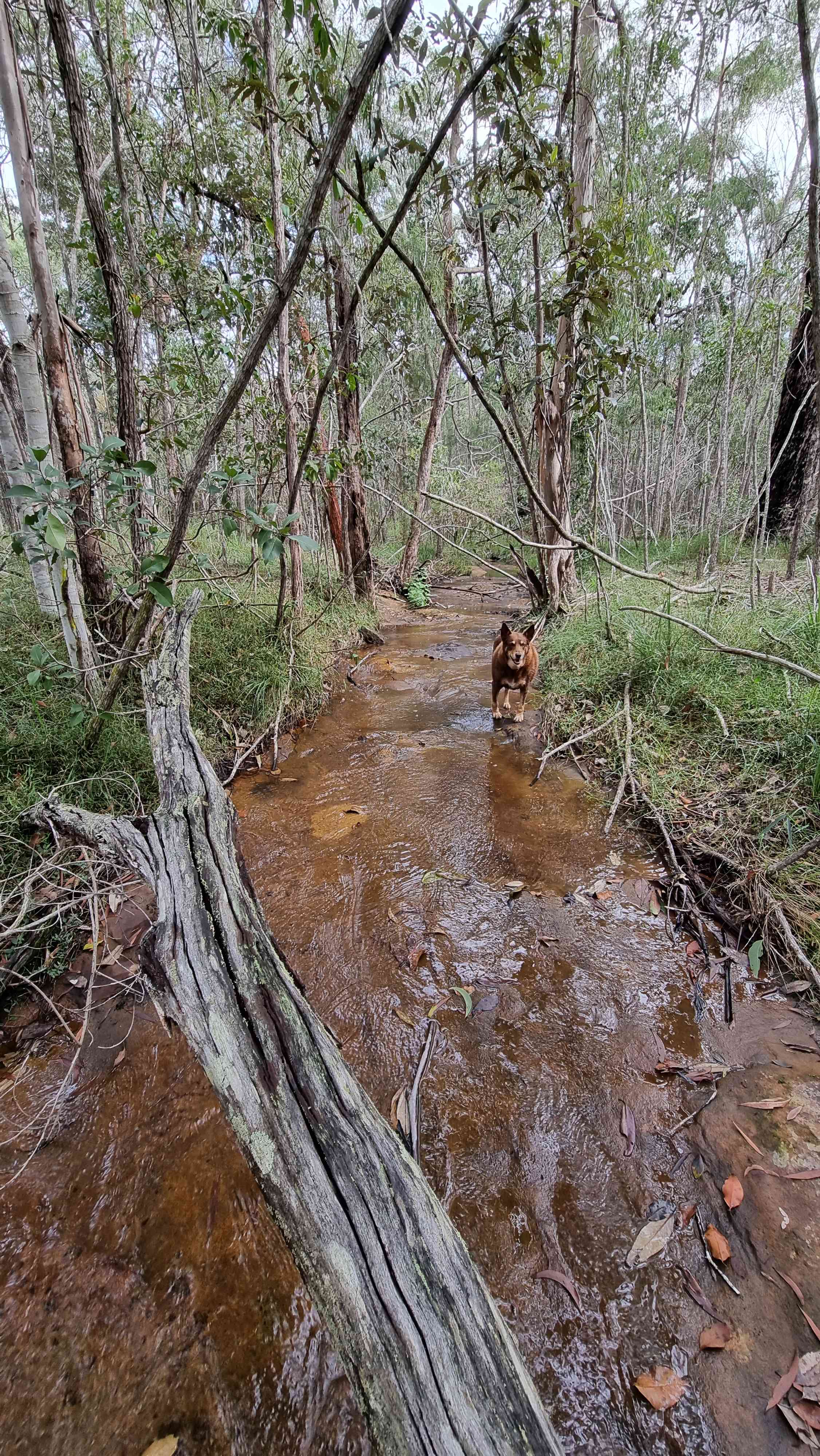 Two Mile Crossing