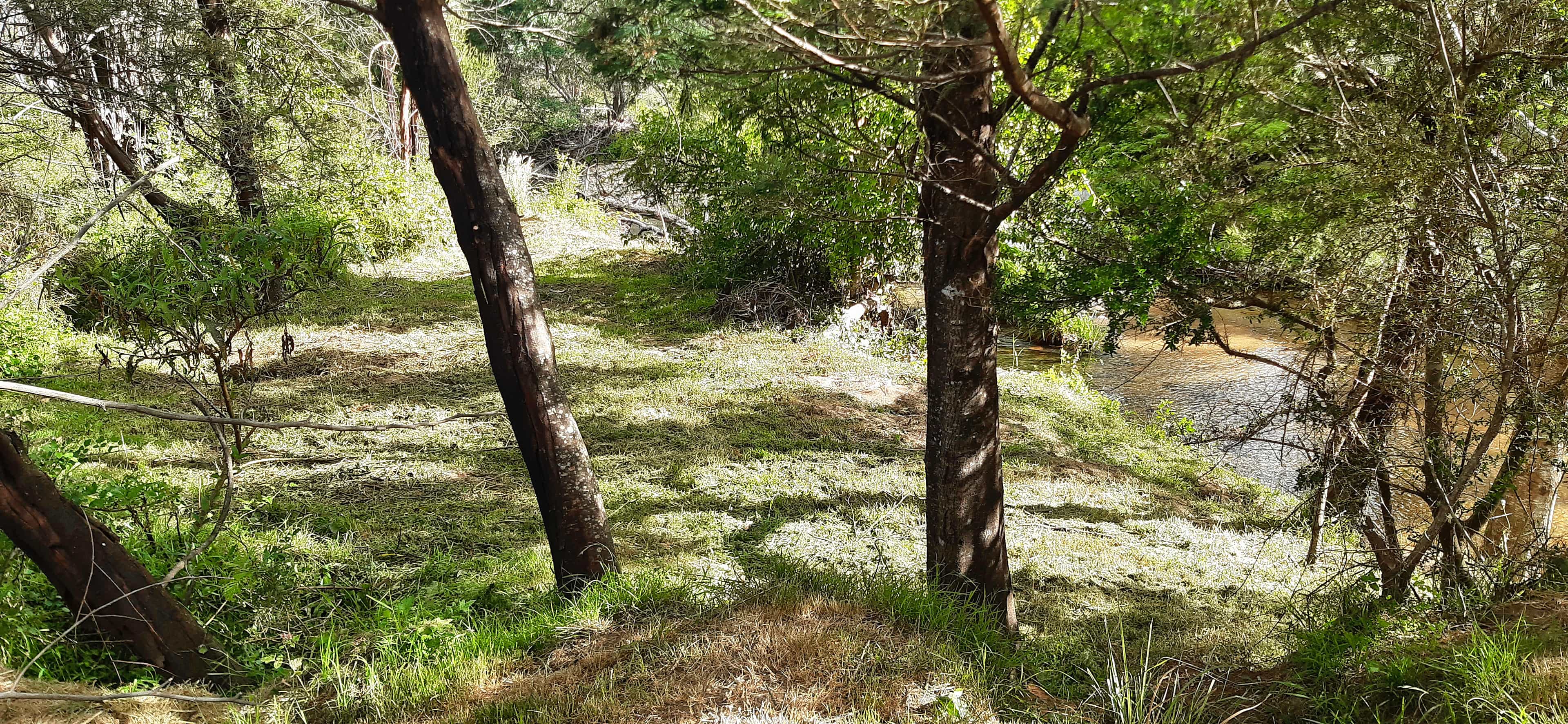 Misty Mountain Wildlife Refuge