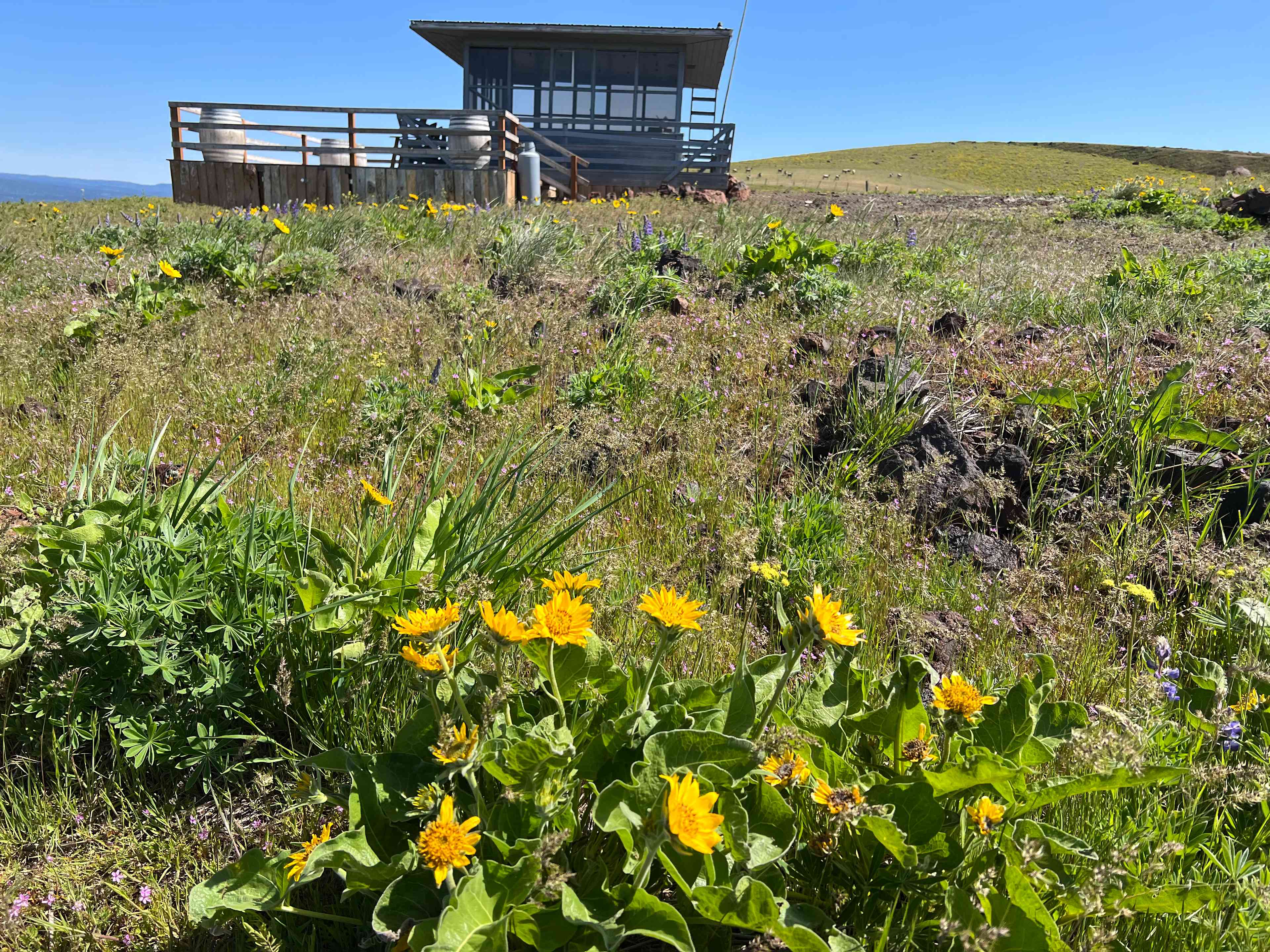 Lefever Holbrook Ranch