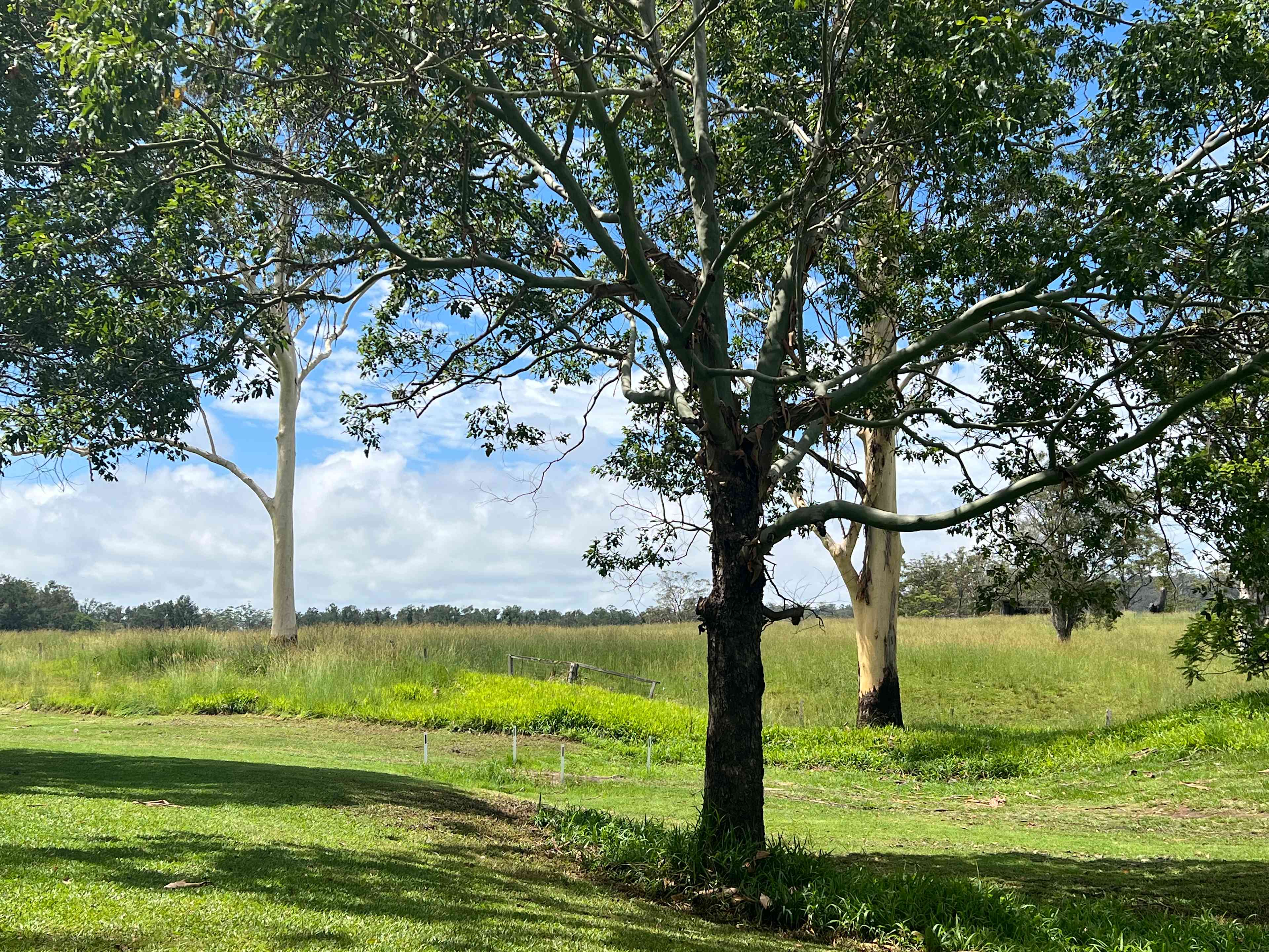 Bundilla River Camp