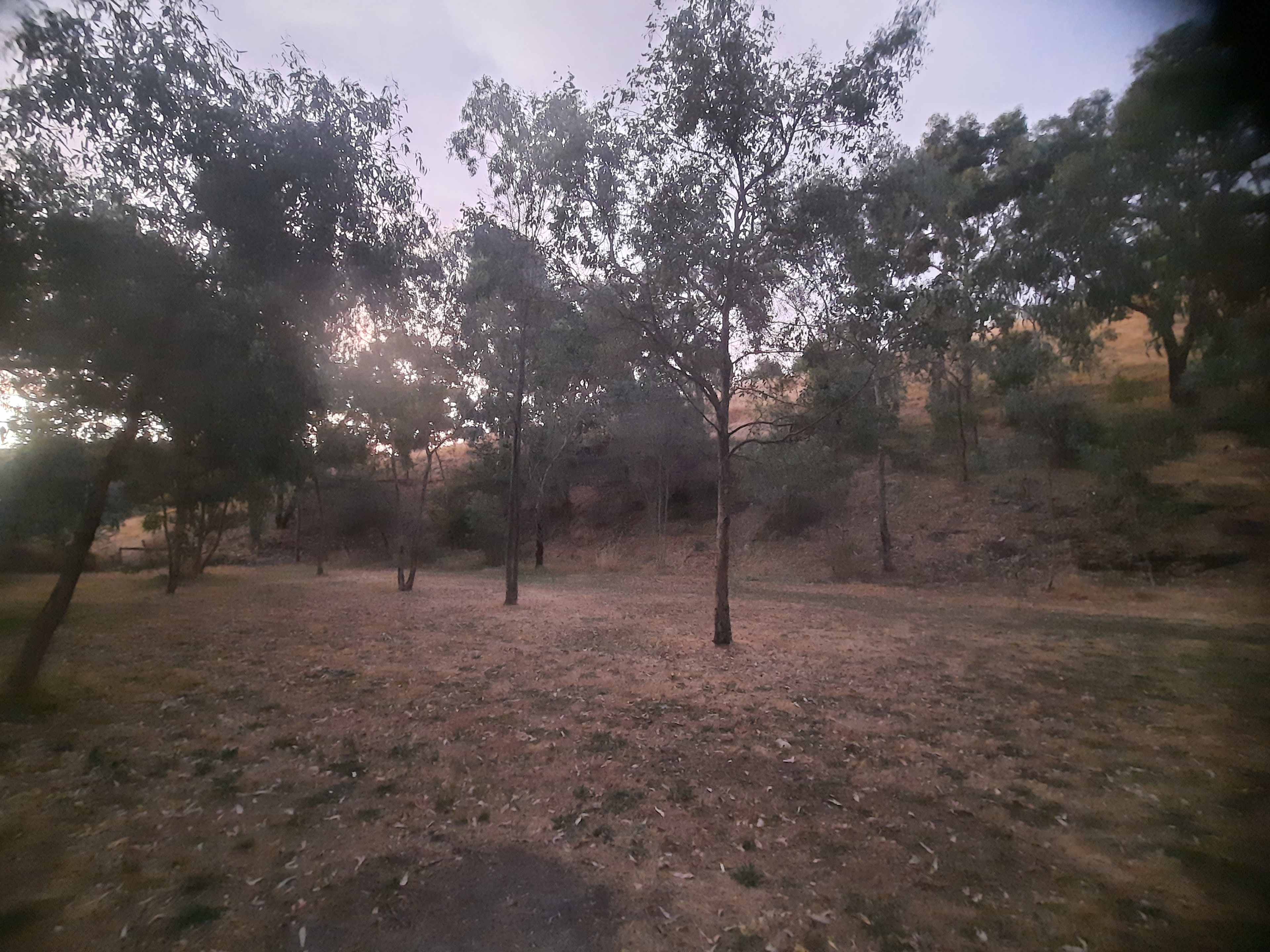 Camp Toondilla (Clarendon SA)