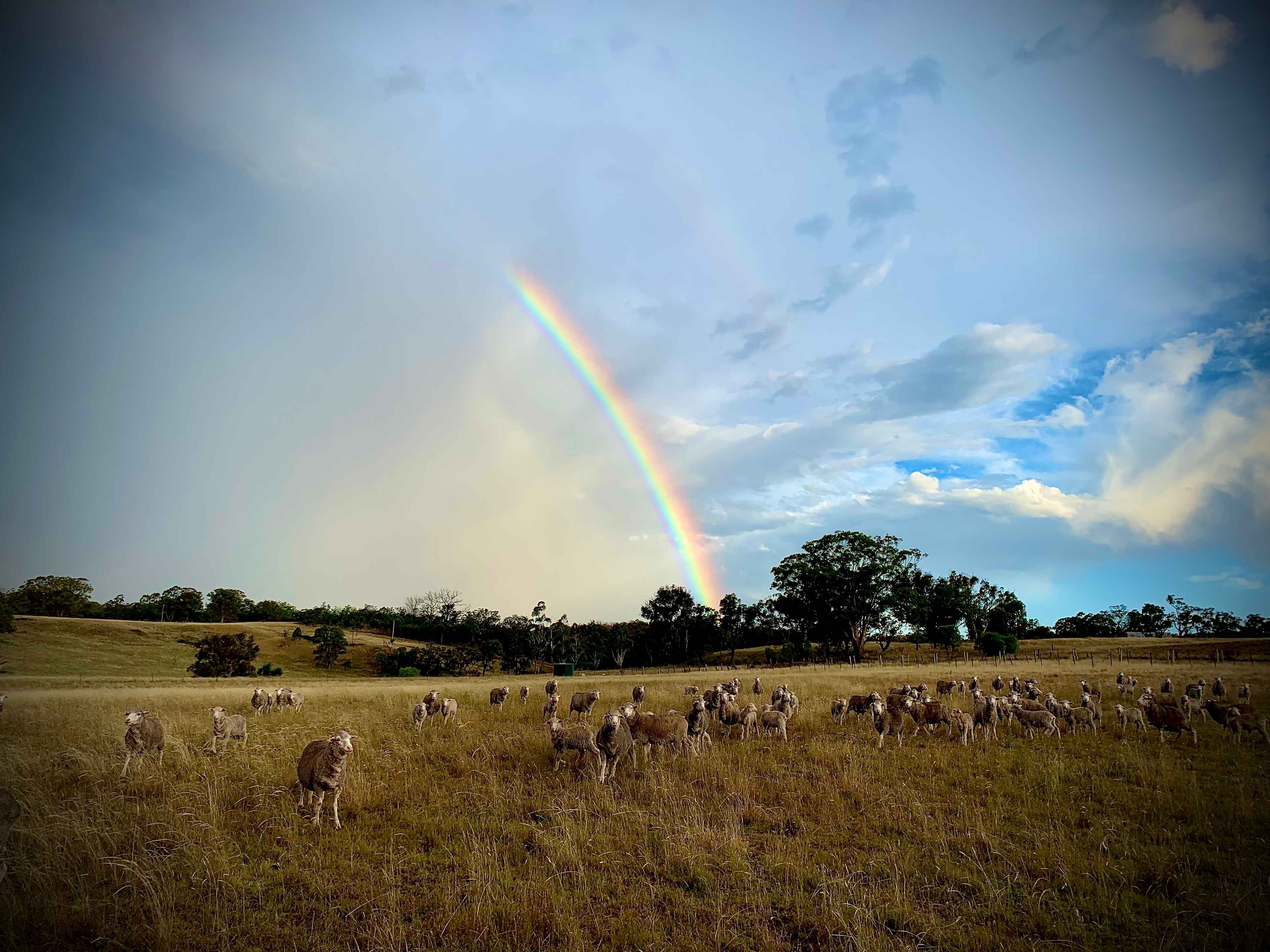 Llandillo Farmstay