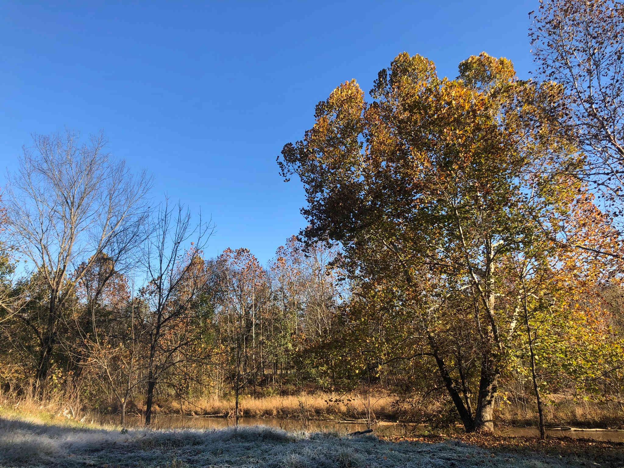 Saco Valley Farm, LLC