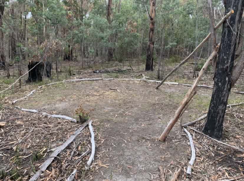 Example tent camping spot. car and van camping spots available too 