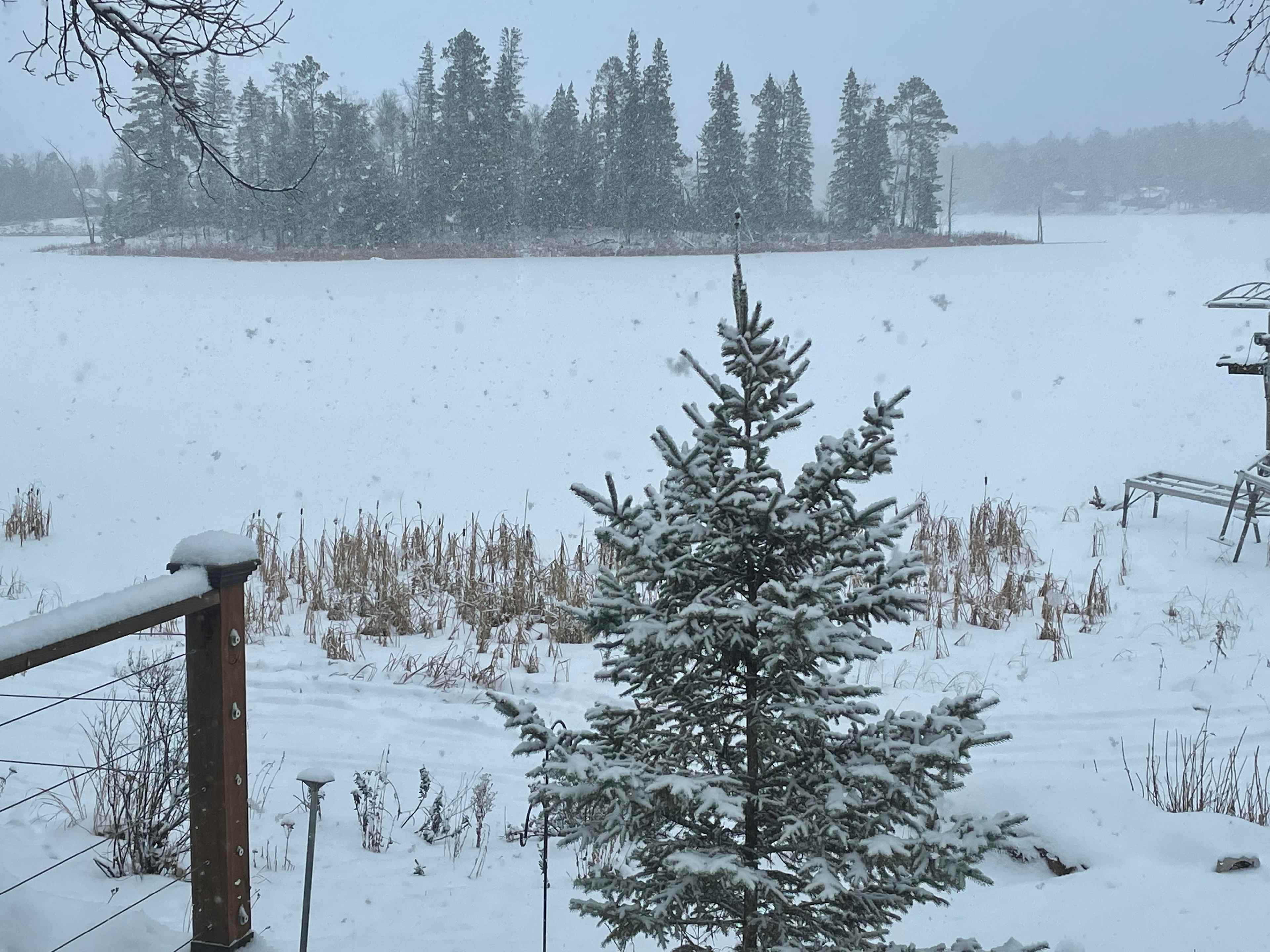 Loon lodge
