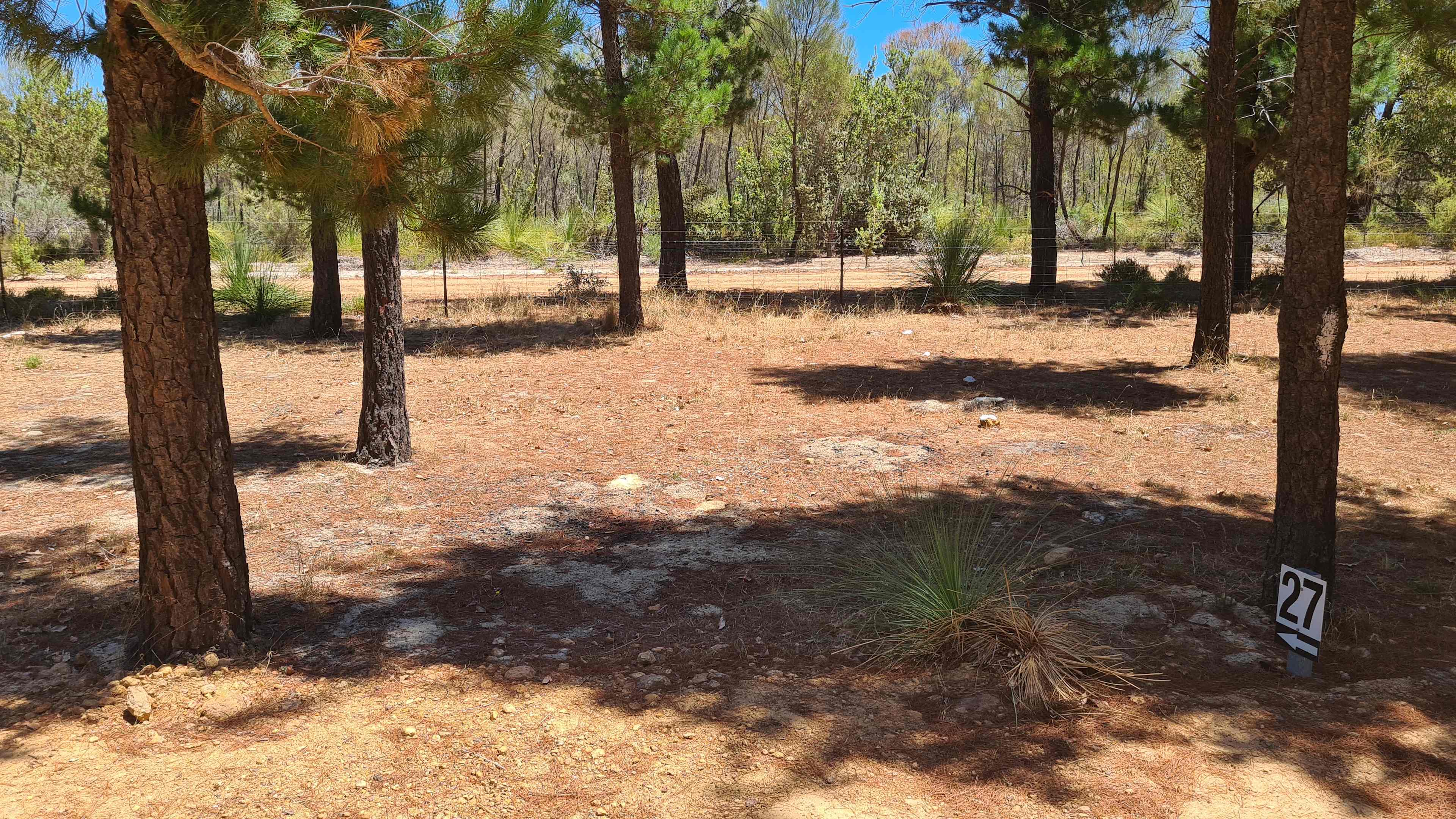 Little Eeden Farm Pine Camp