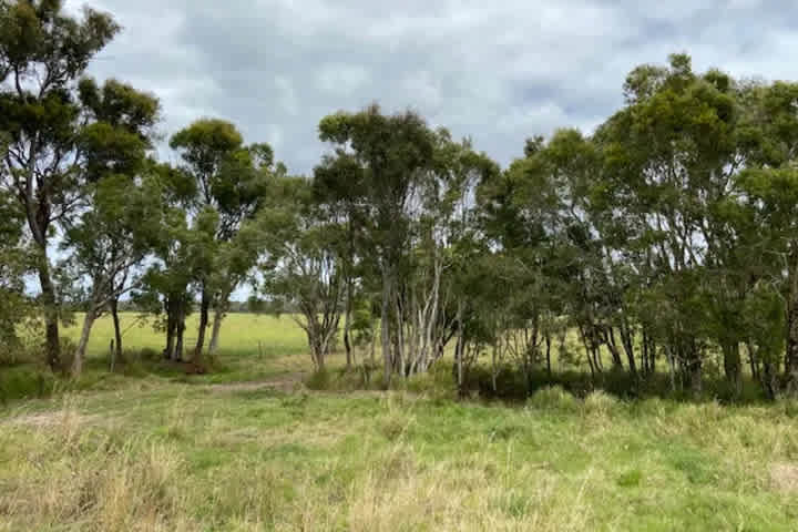 Carlton Farm, Hervey Bay