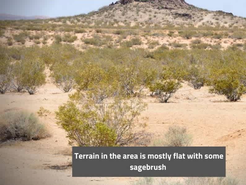 sanctuary night desert