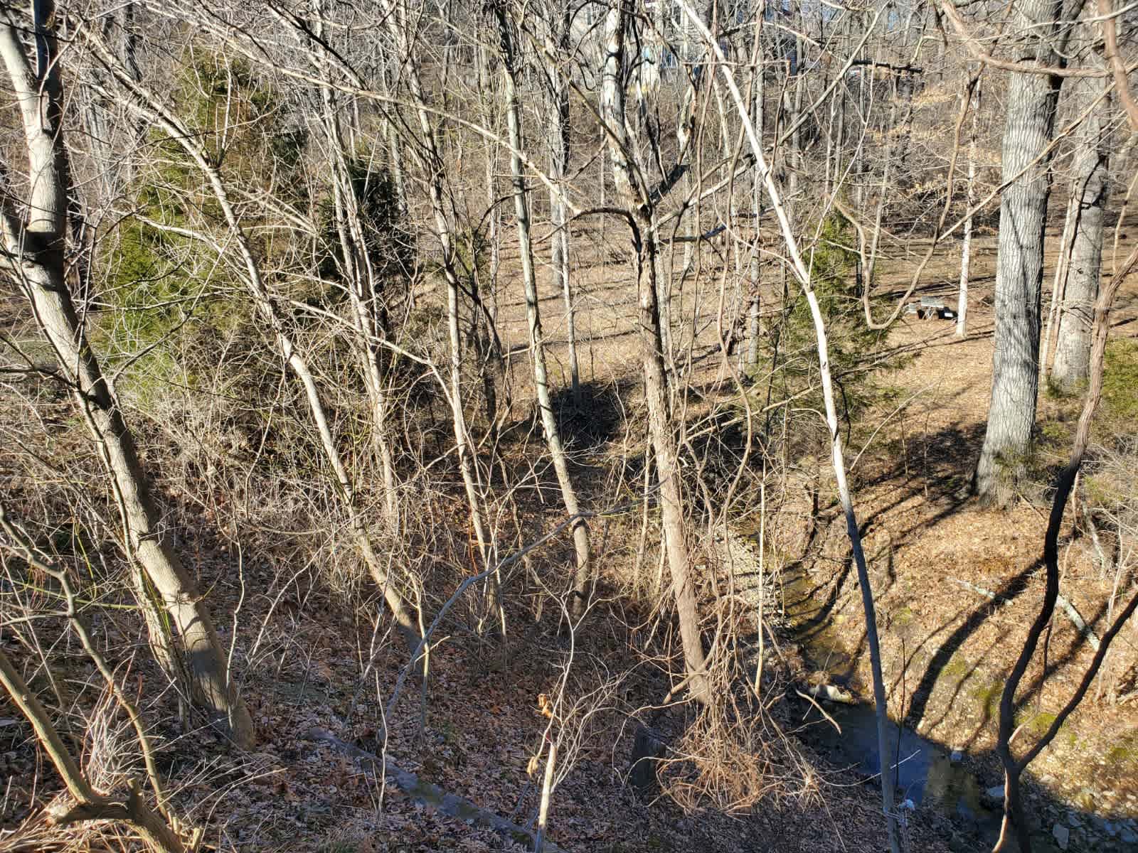 Honeysuckle Acres