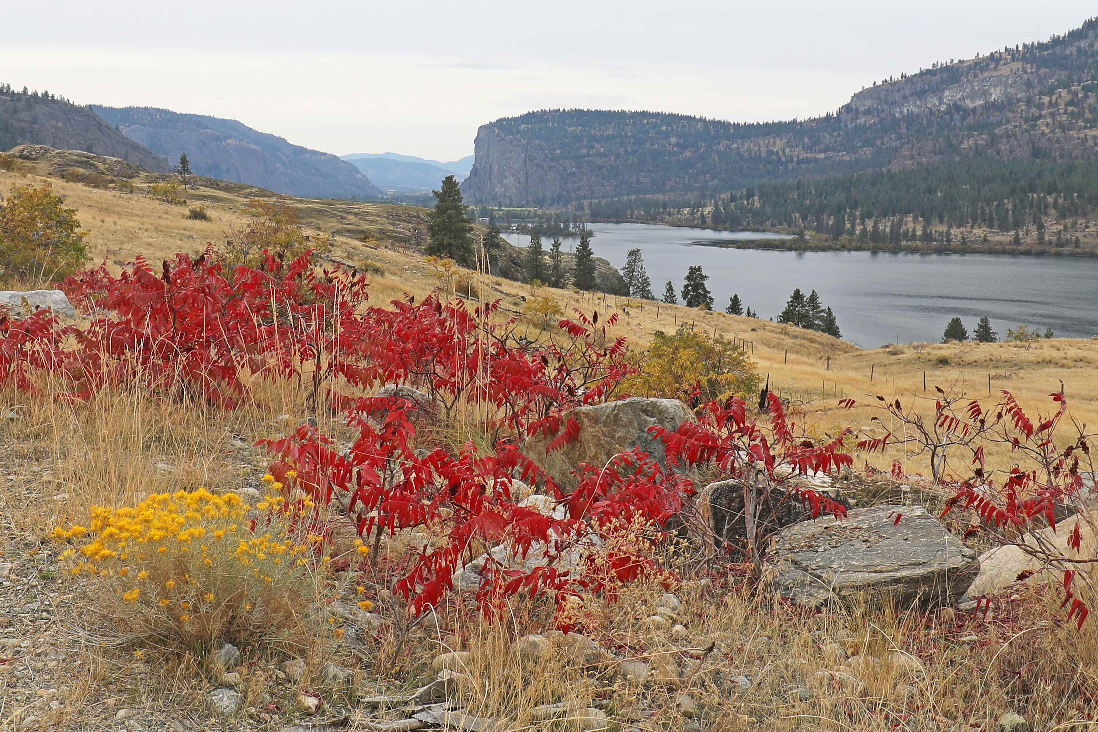 Vaseux Lake Provincial Park