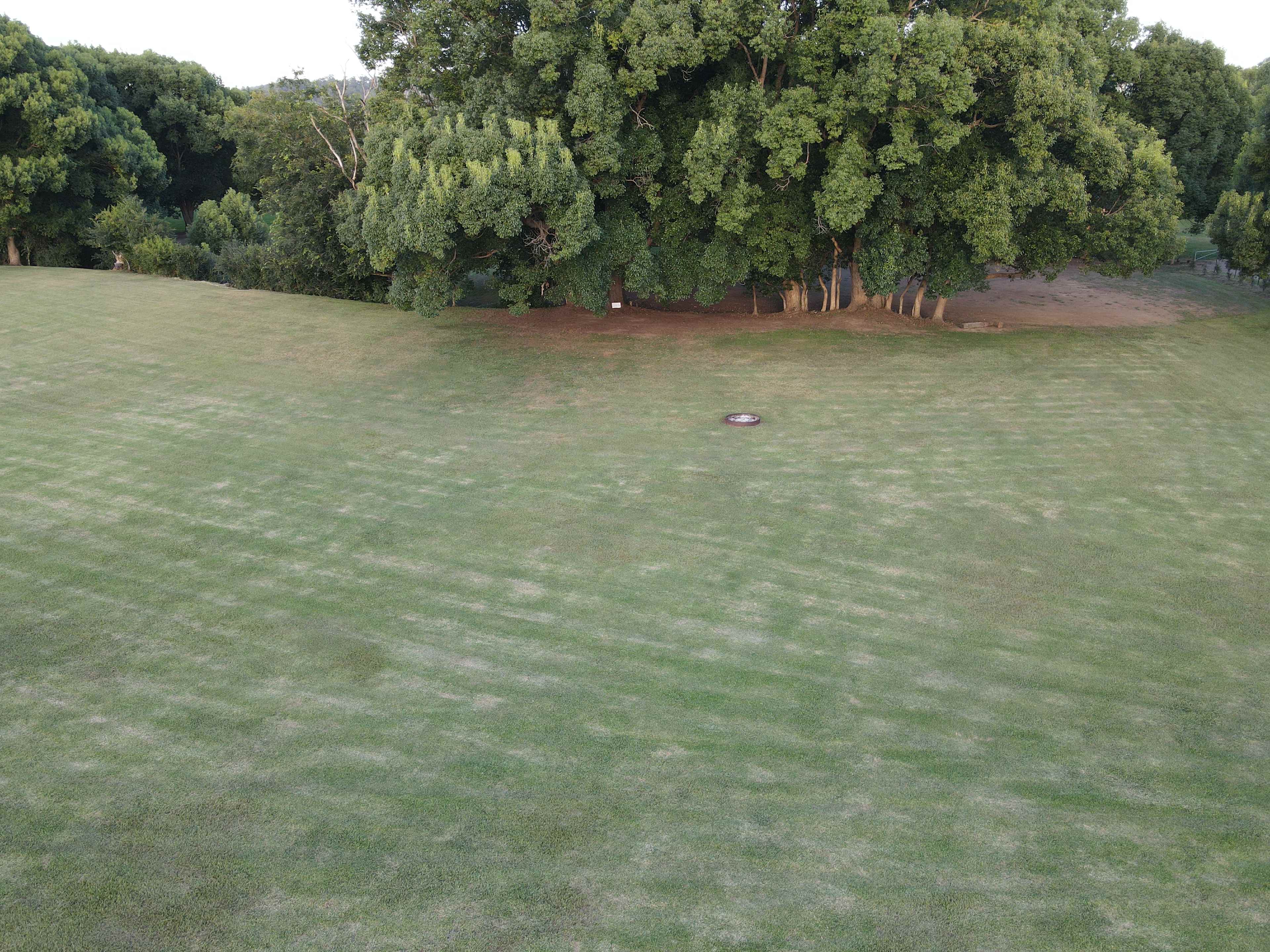 Site 4