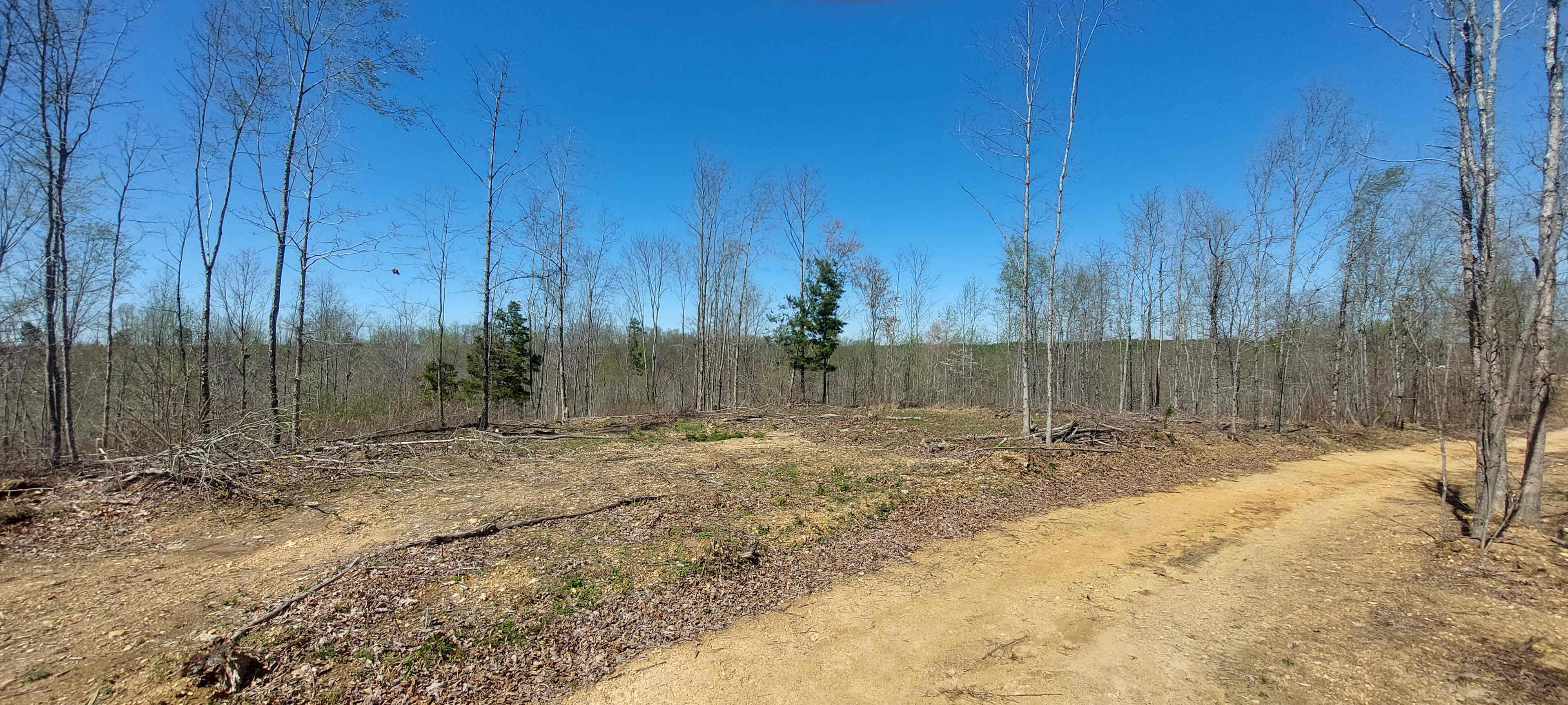 Tipi Ridge Off Grid Farm Resort