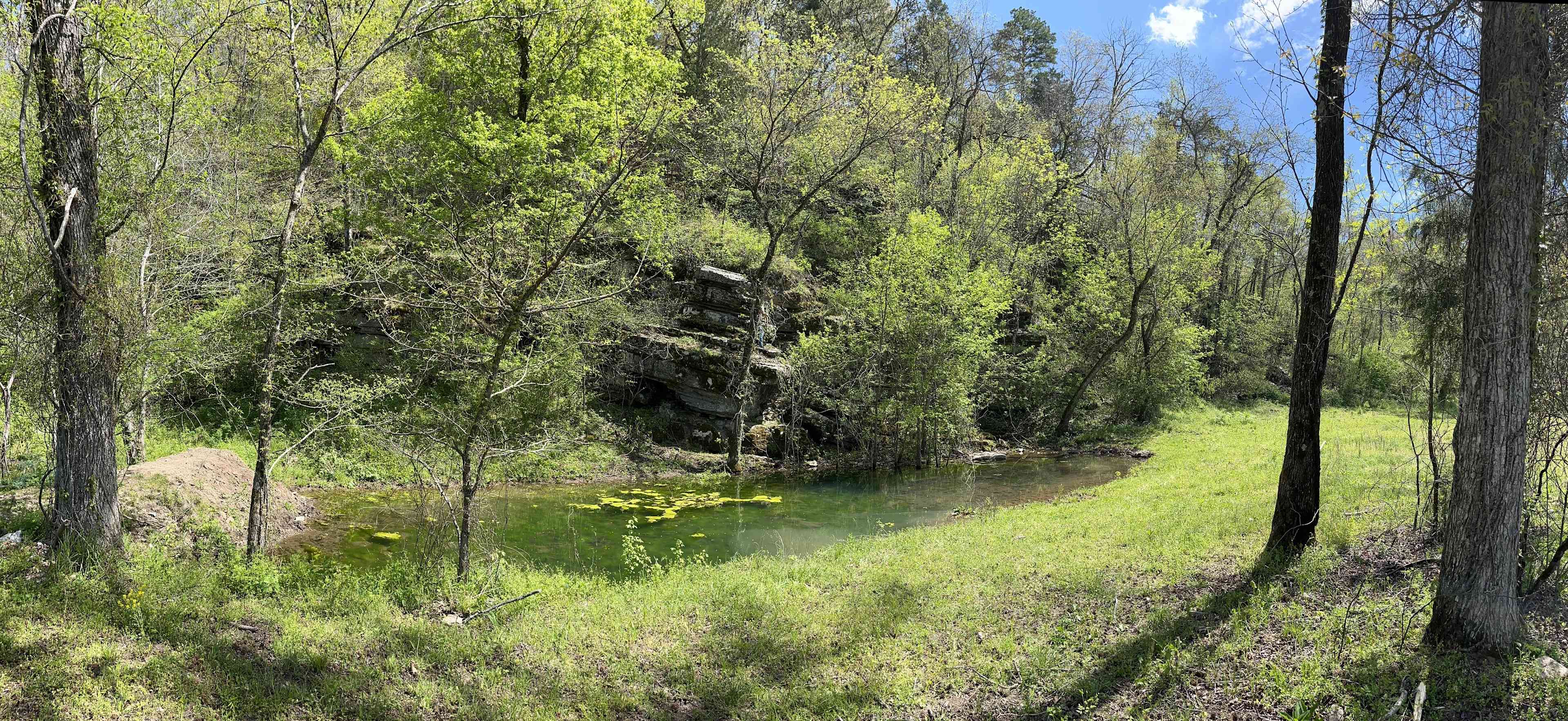 COMING SOON TREE HOUSE WITH THIS VIEW