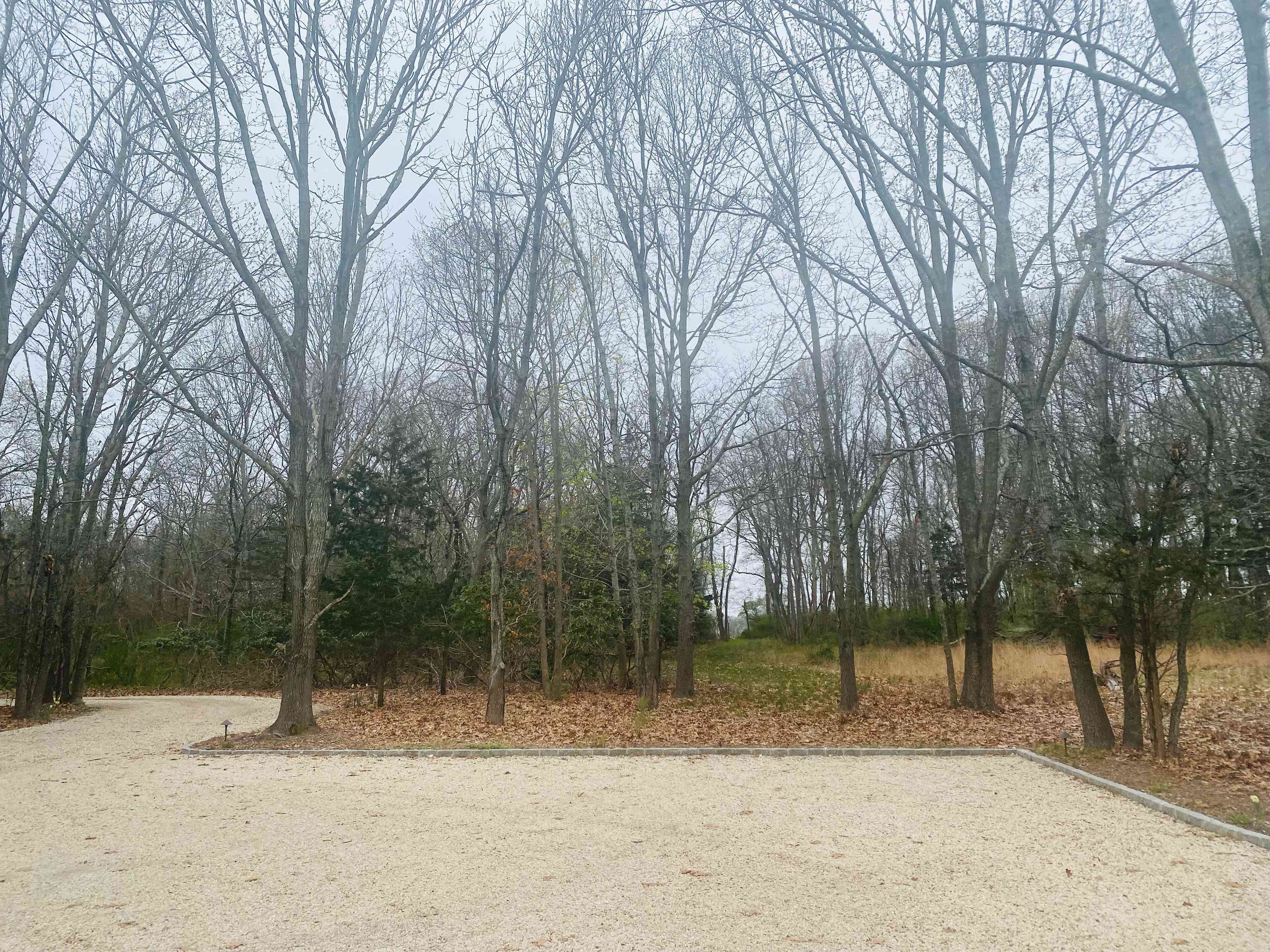 Vineyard woods