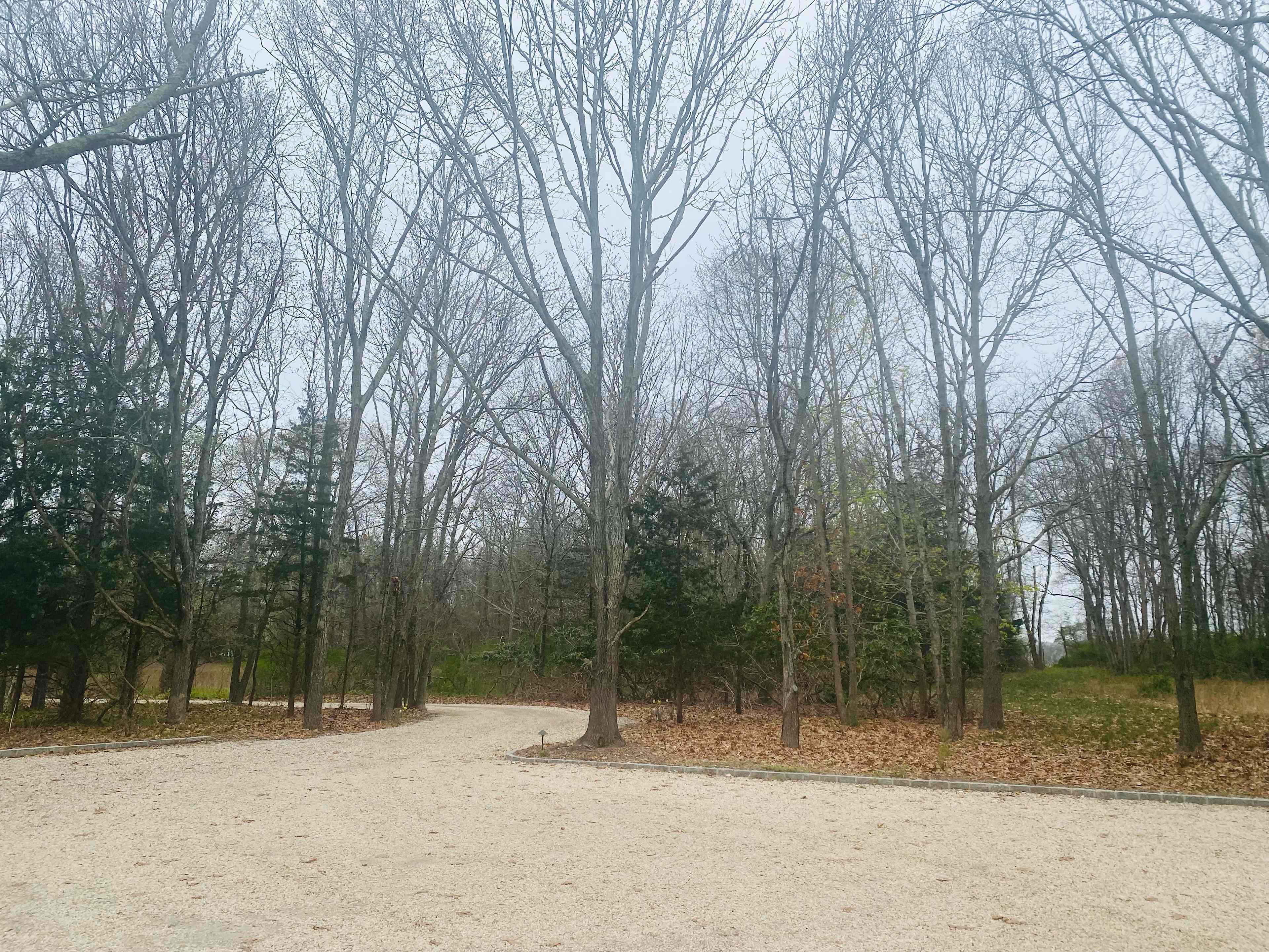 Vineyard woods