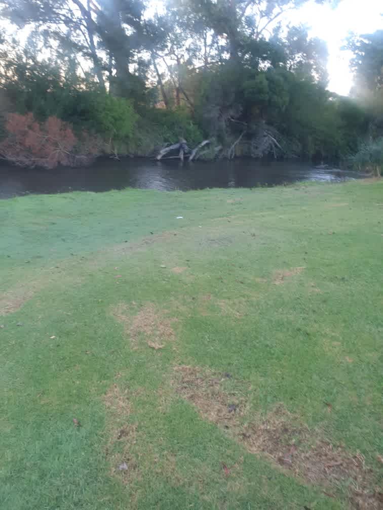 Micks Campsite