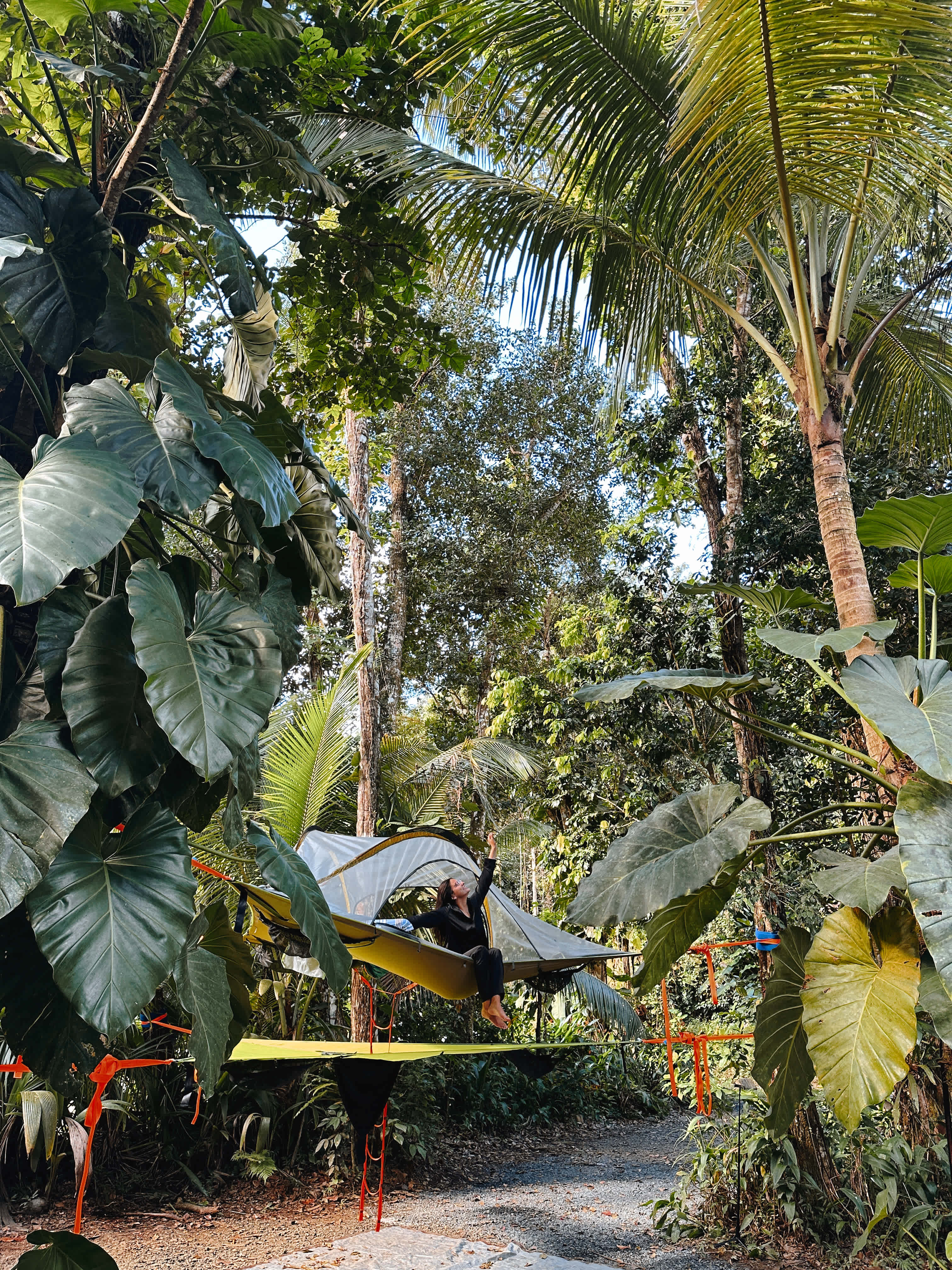 Tree Tent with no tarp.