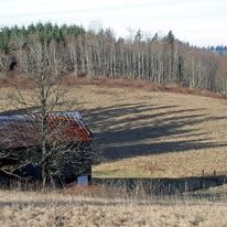 Cold Springs Farm