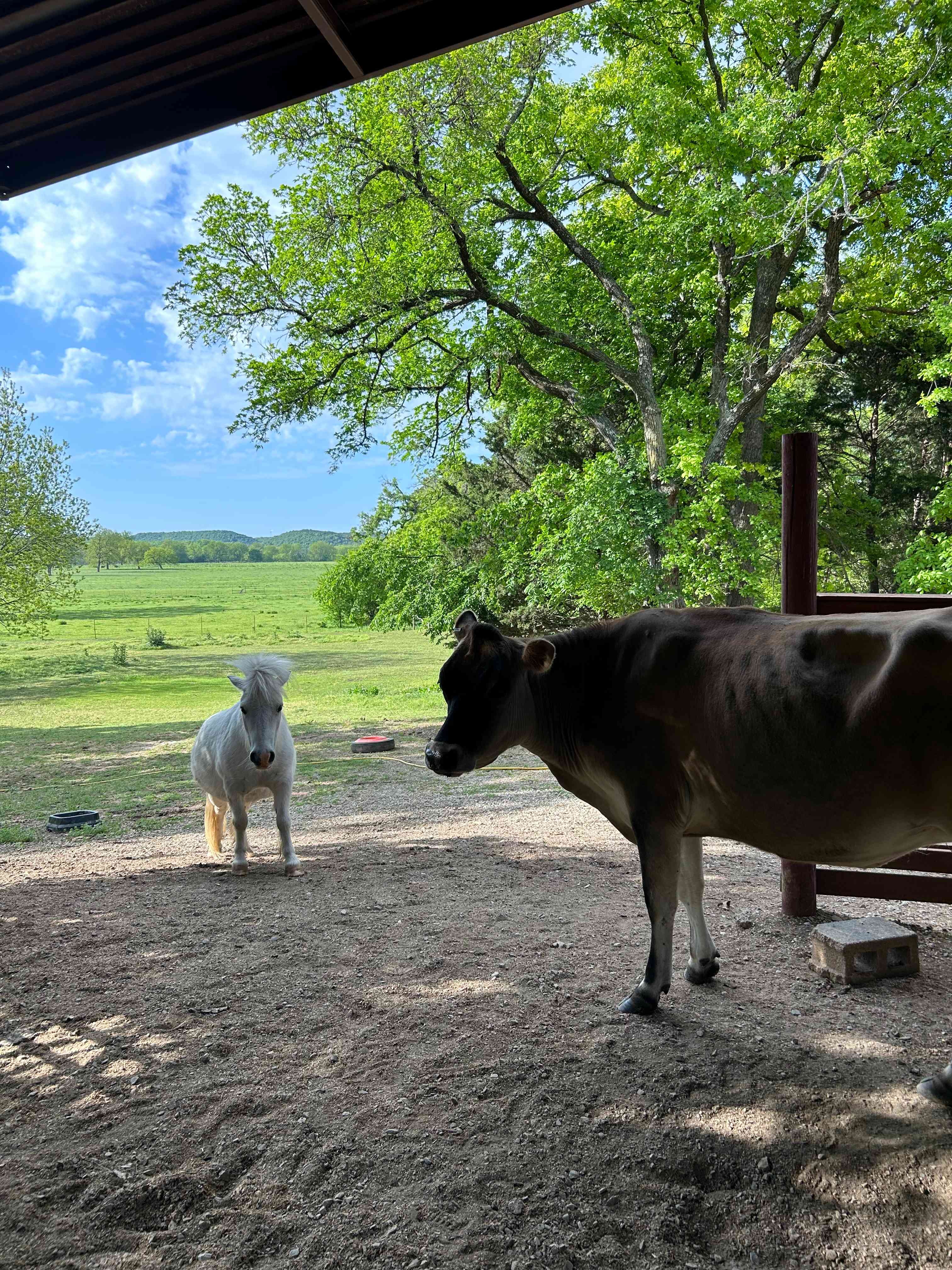 Mana Farm Davis