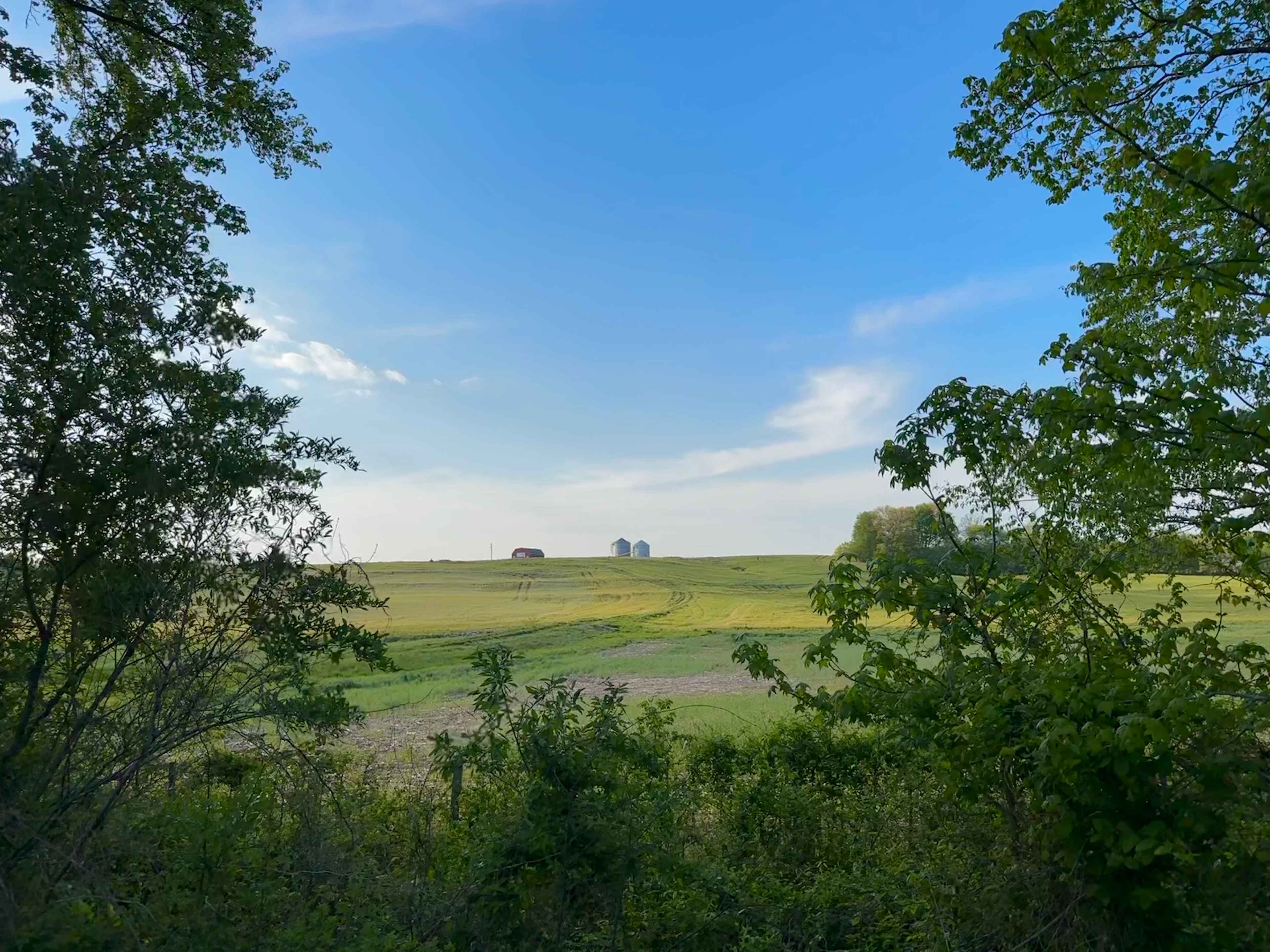 Farm views on the trails