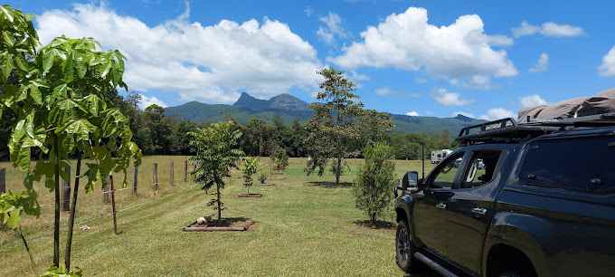 Tyalgum Showground