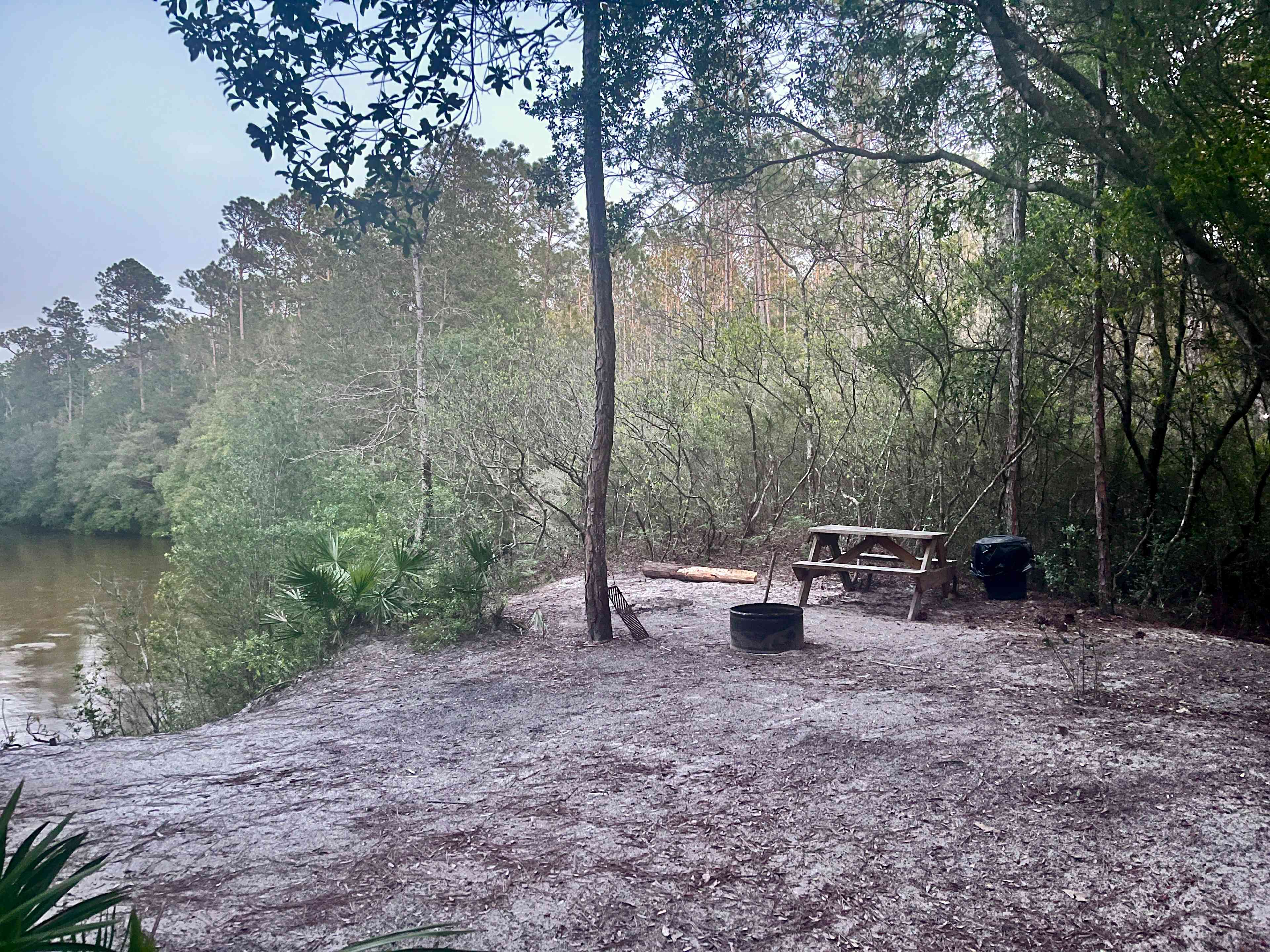 The Wandering Path