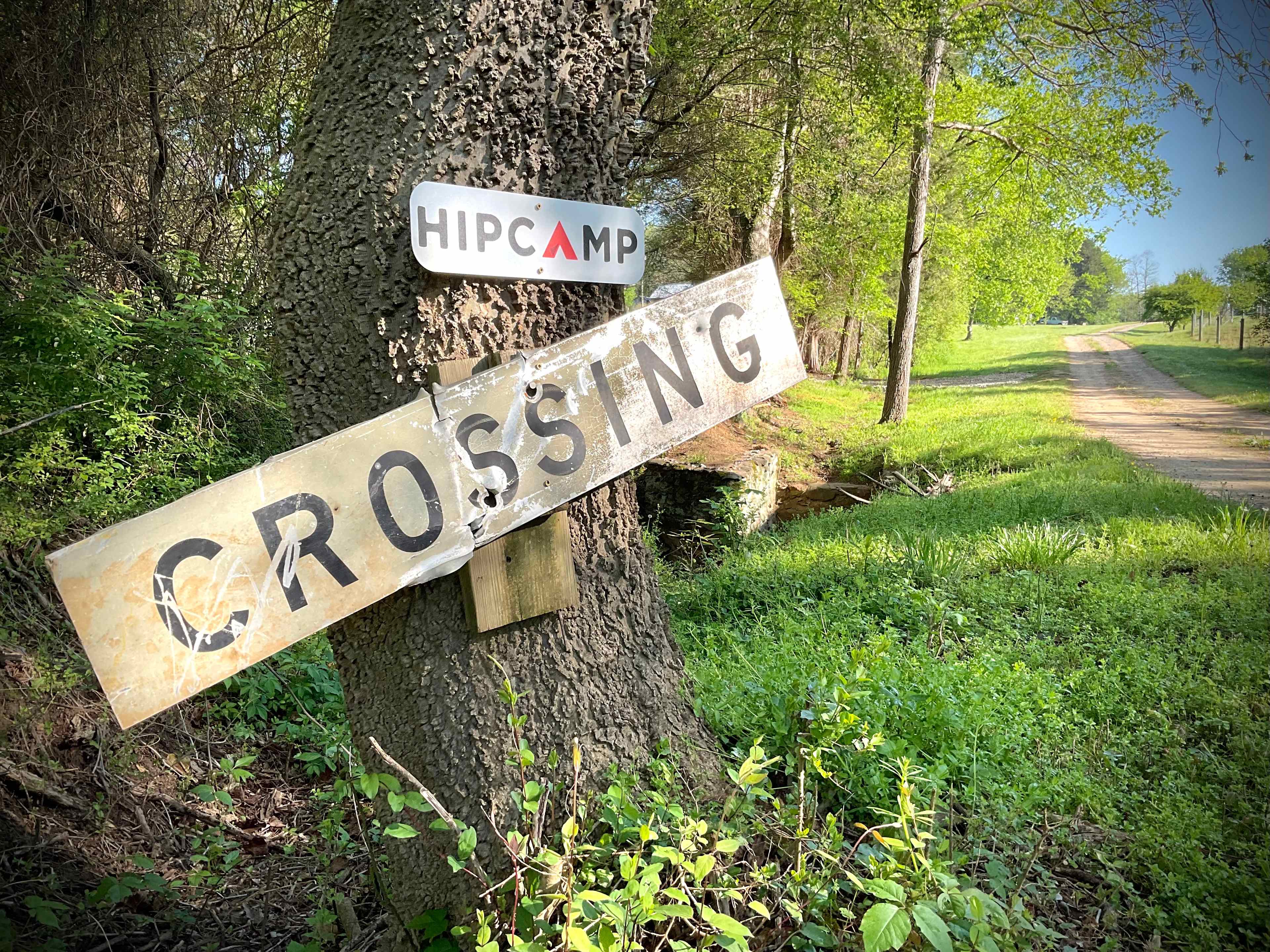 The Dancing Pig On Abbotts Creek