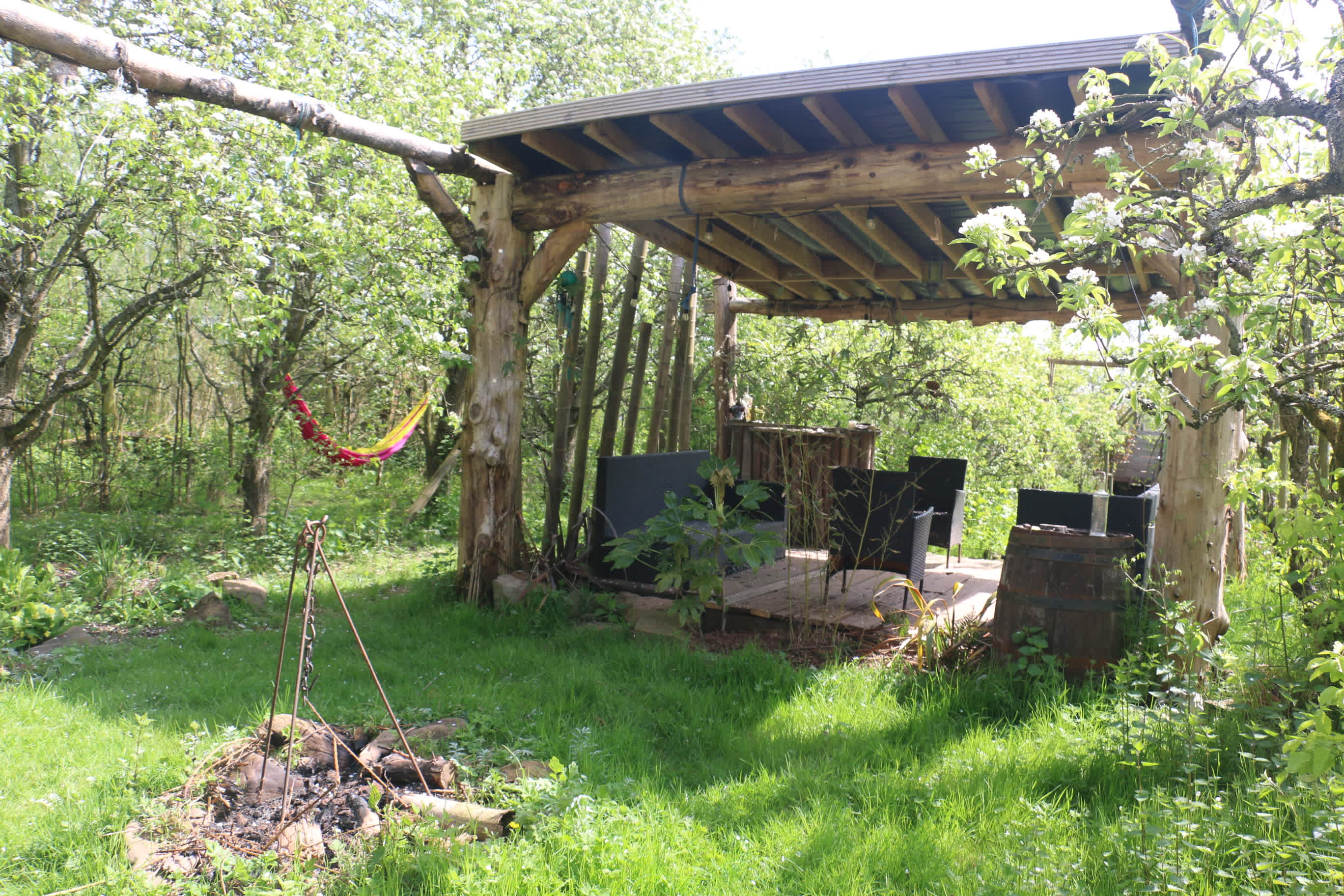 Knotted Roots eco-stay camping