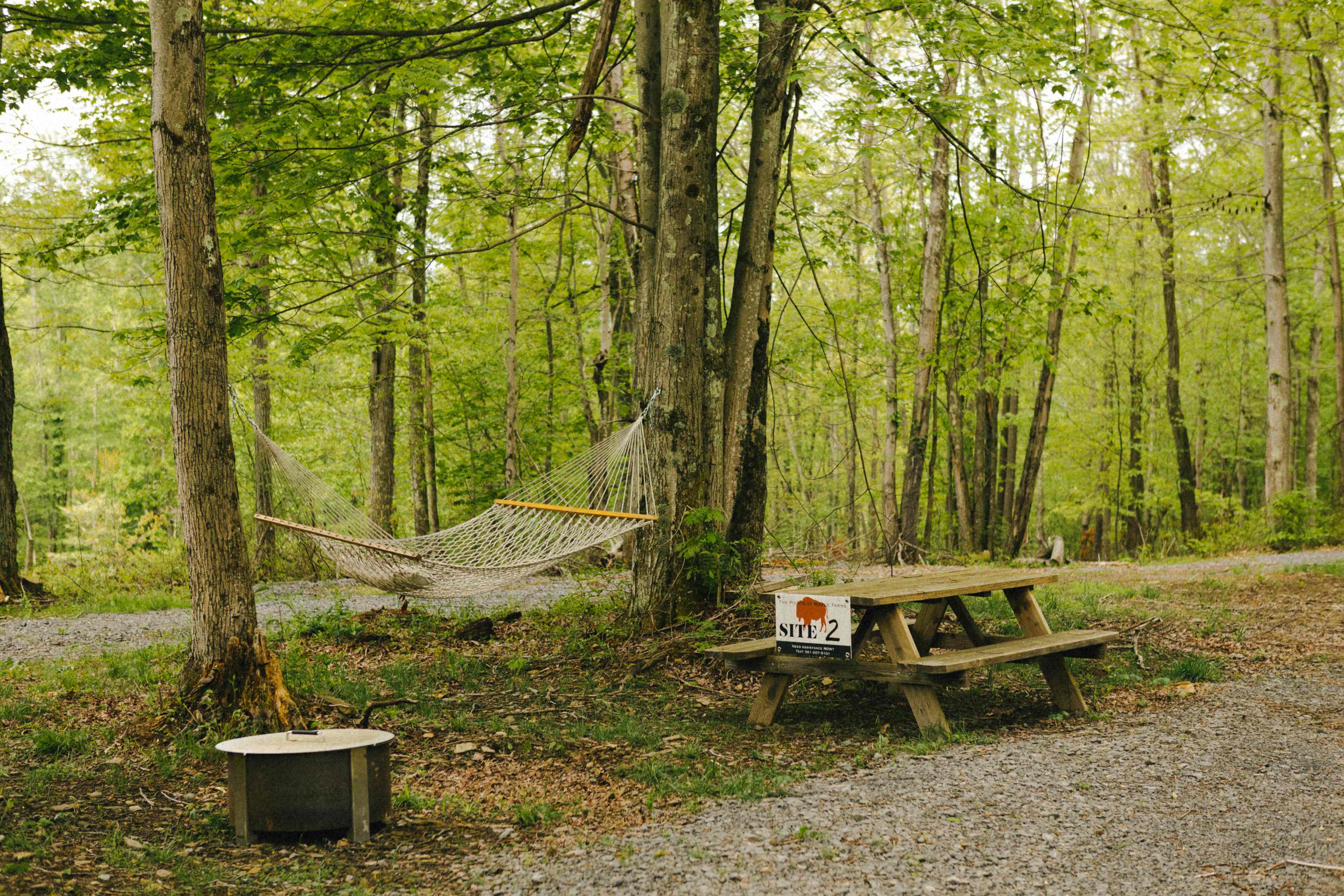 campsite 2 