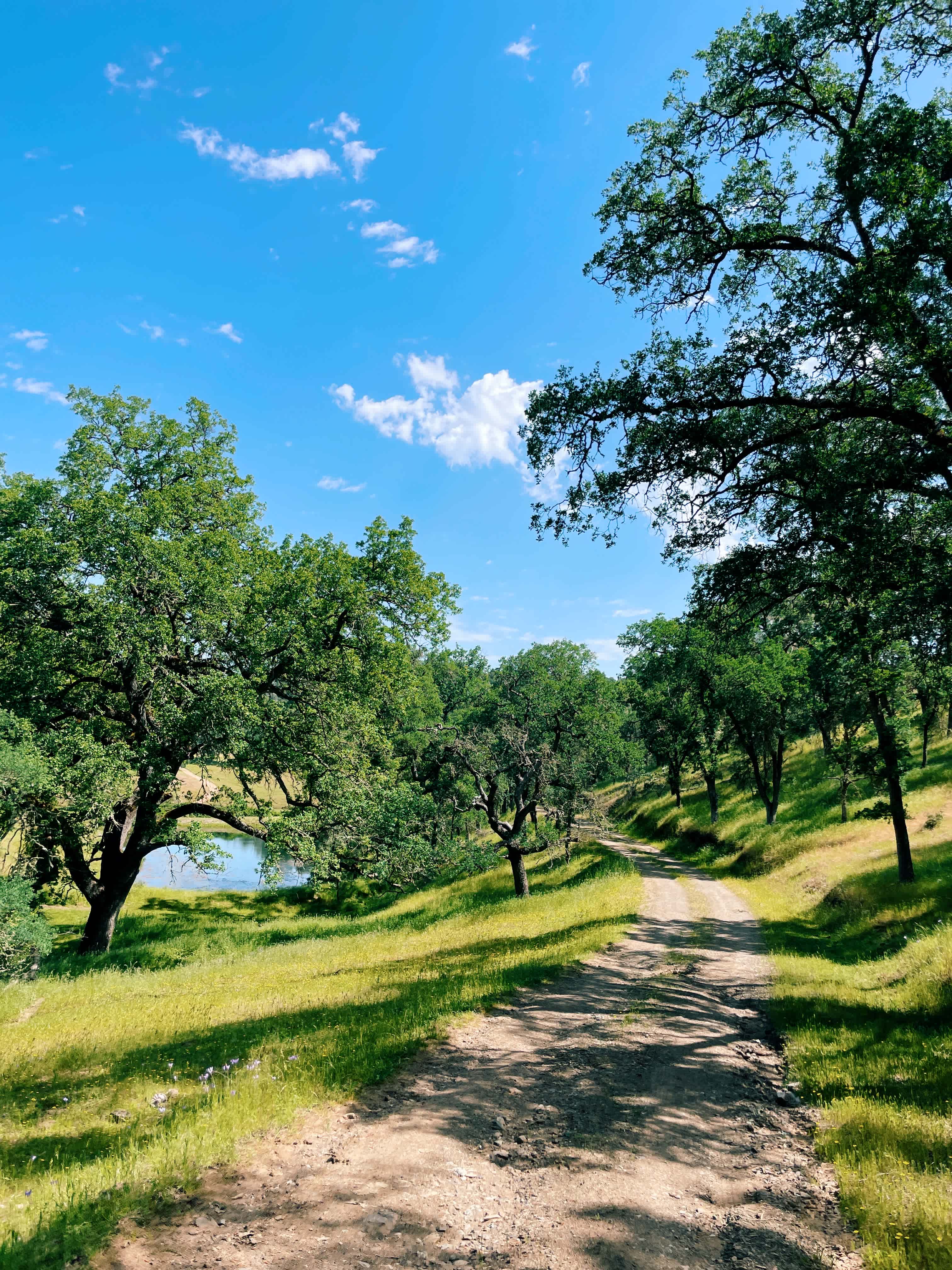 Cosumnes River Ranch