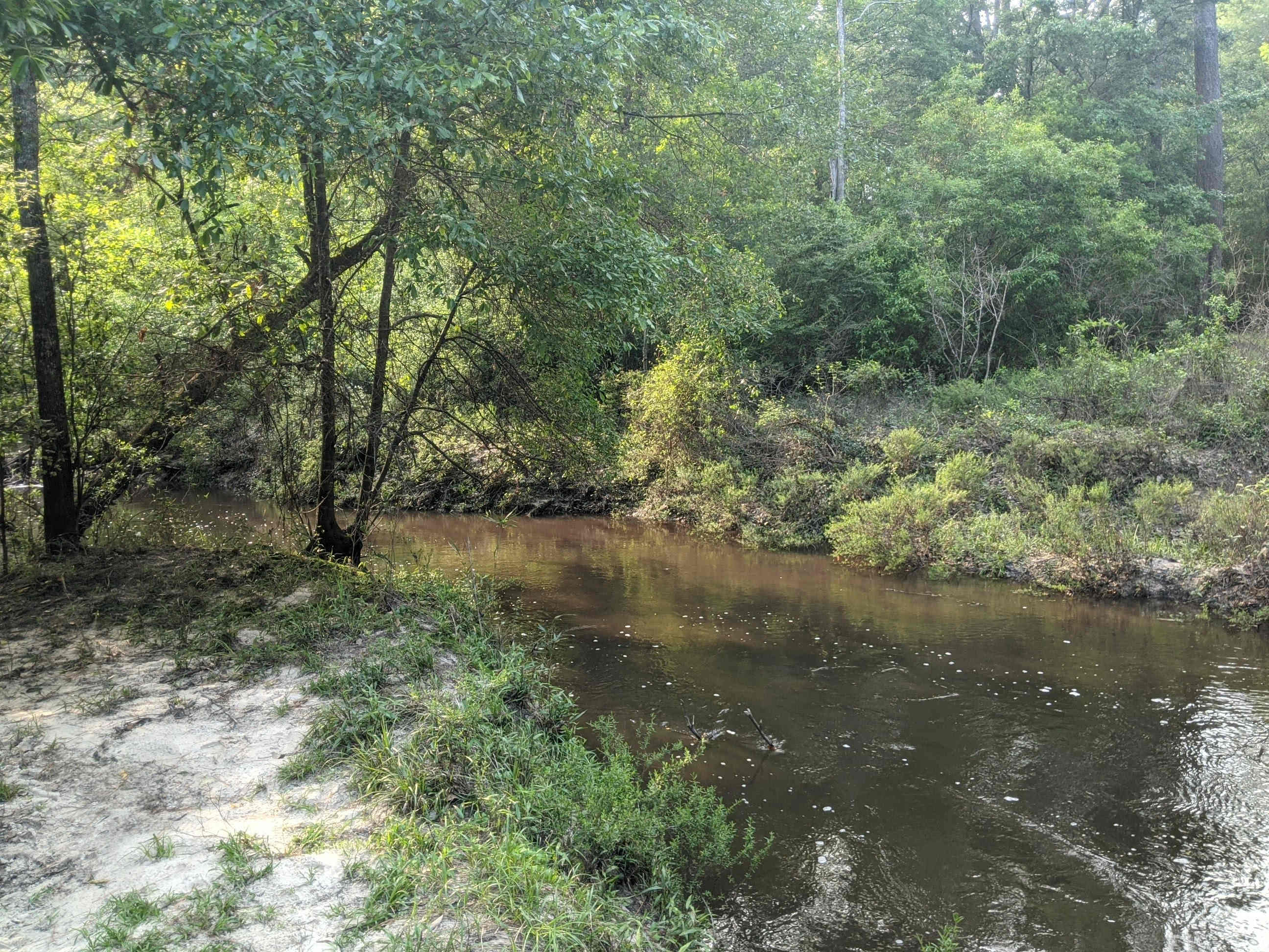 Abita River
