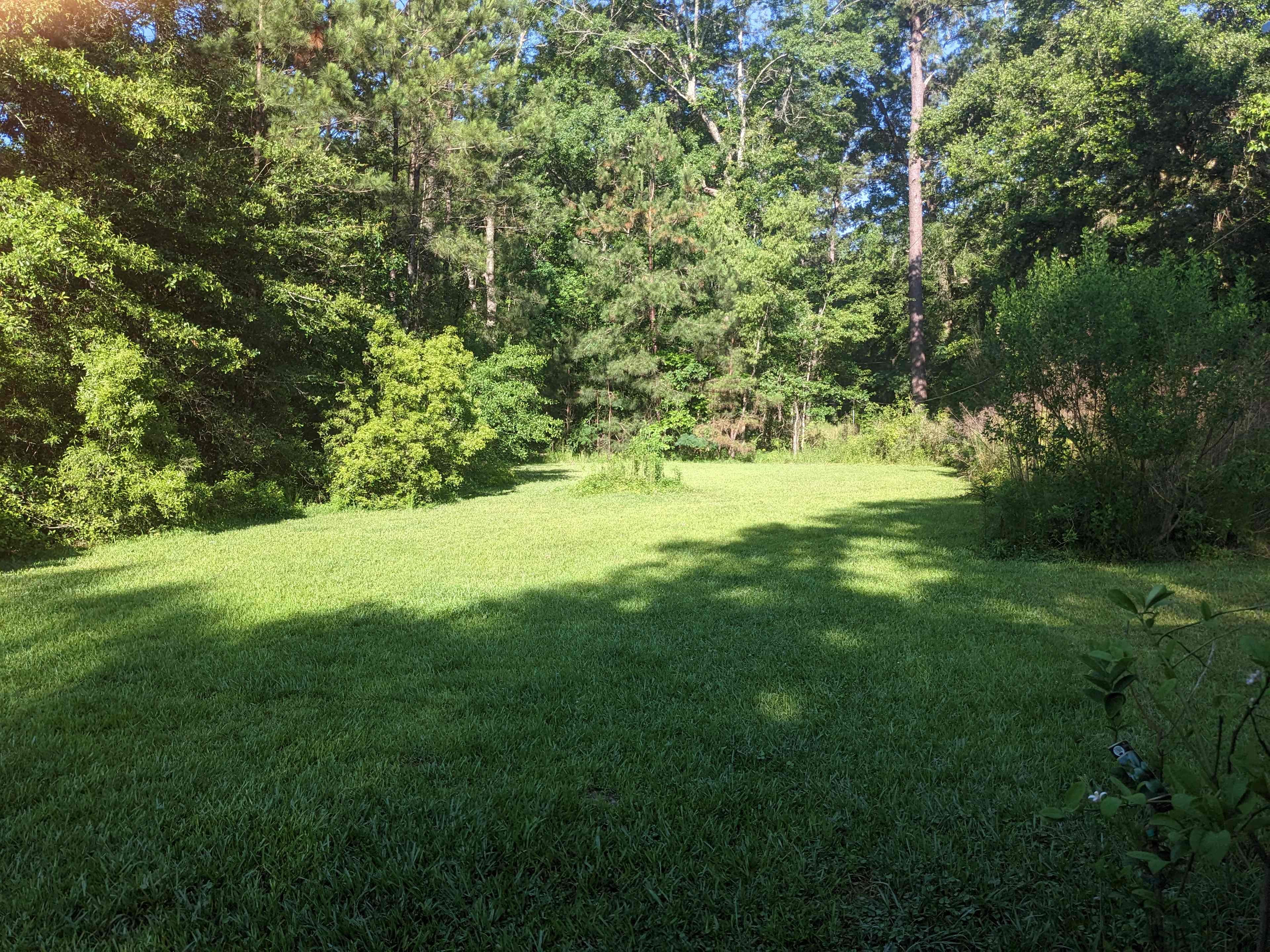 Campsite