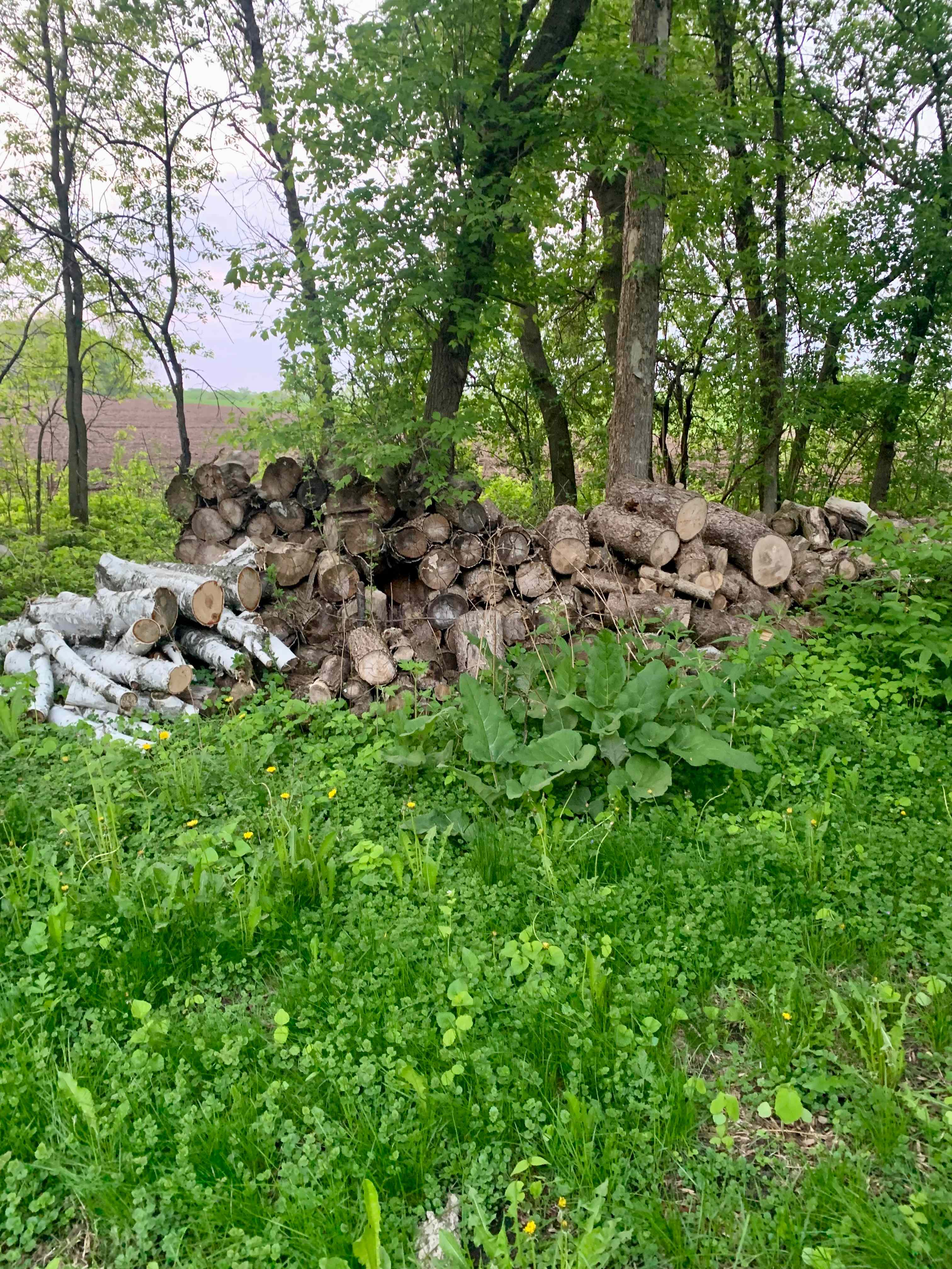 Wild Haven farm