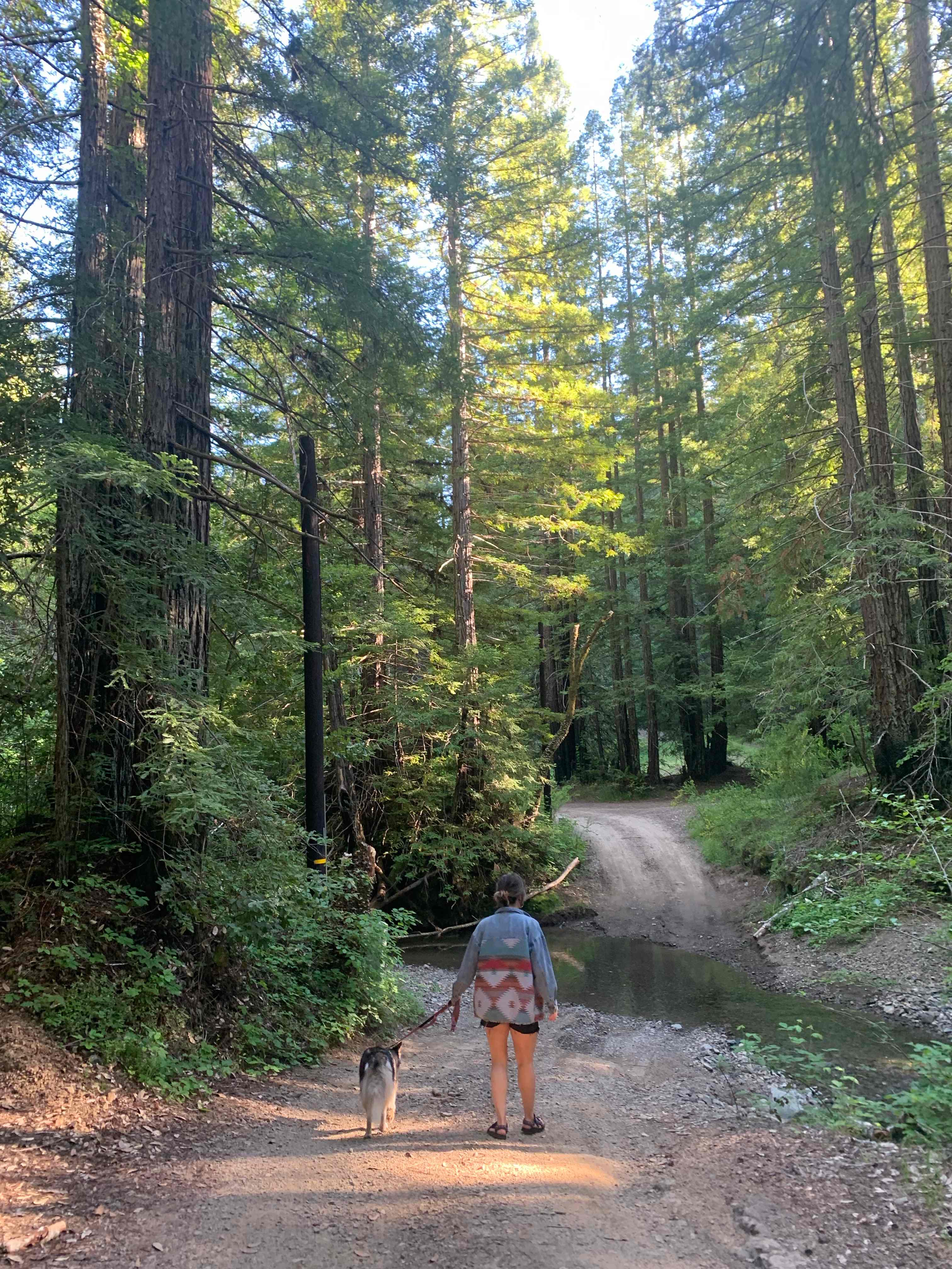 Mission Canyon
