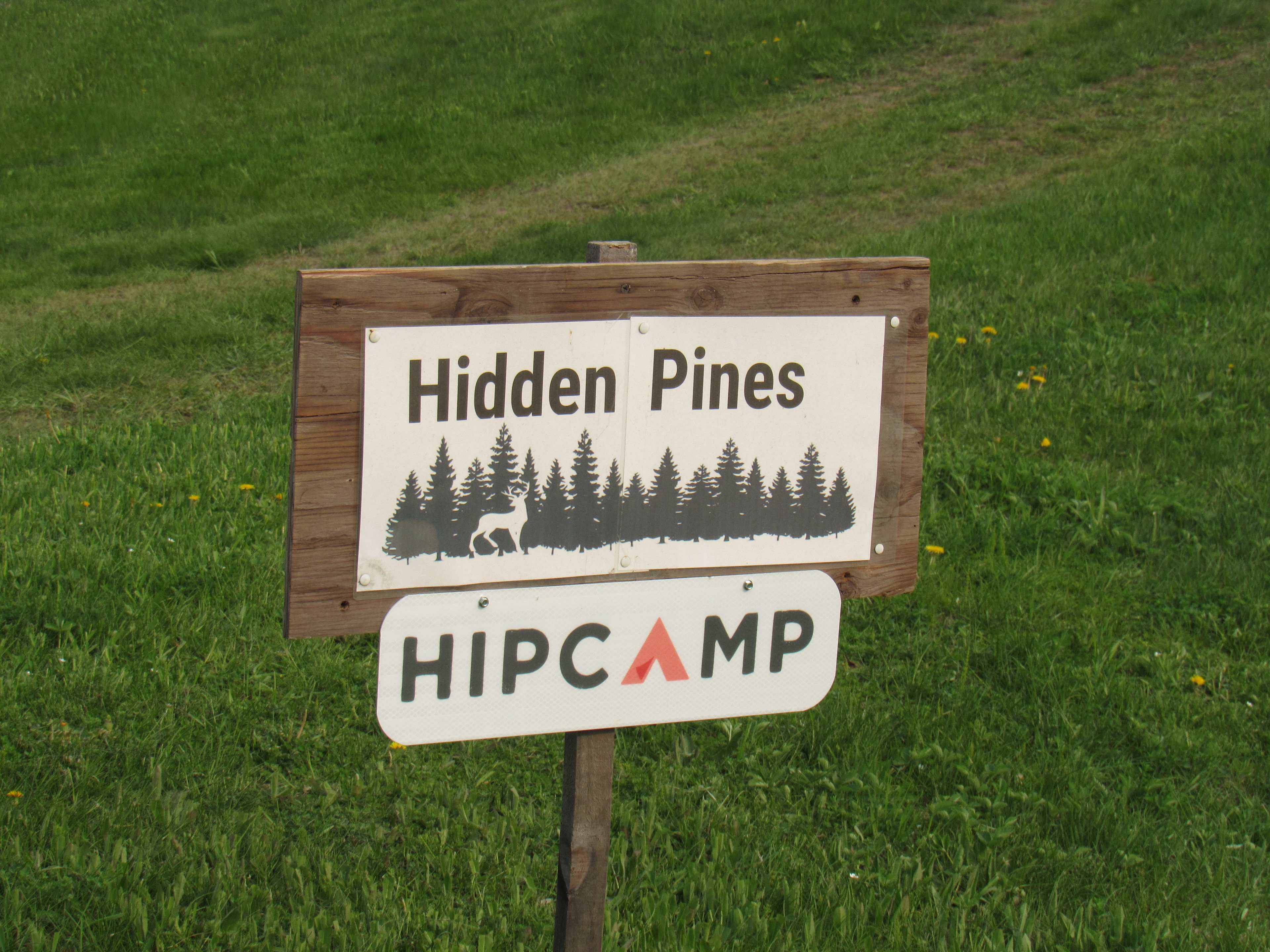 Hidden Pines