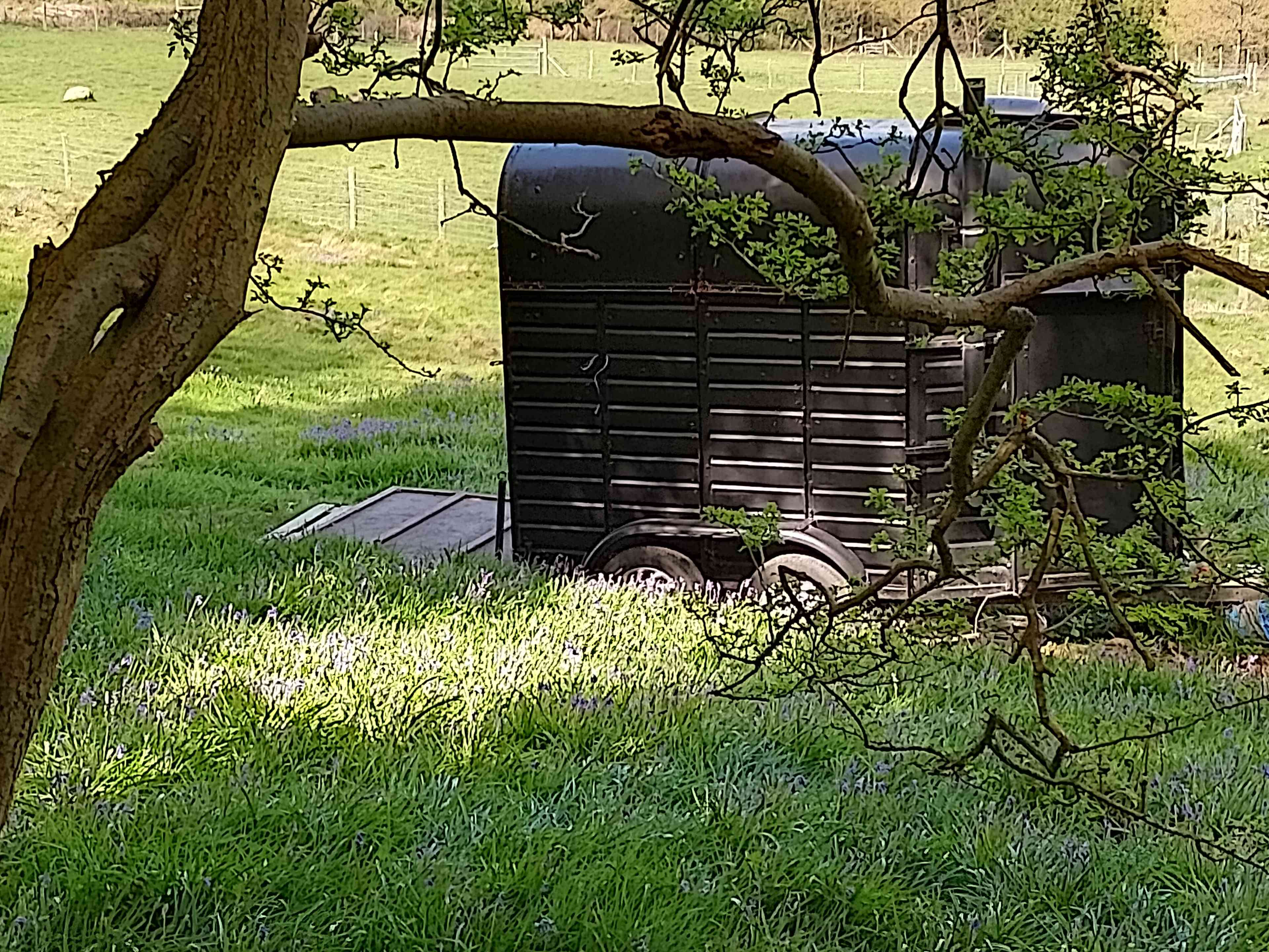 Small Meadow Farm
