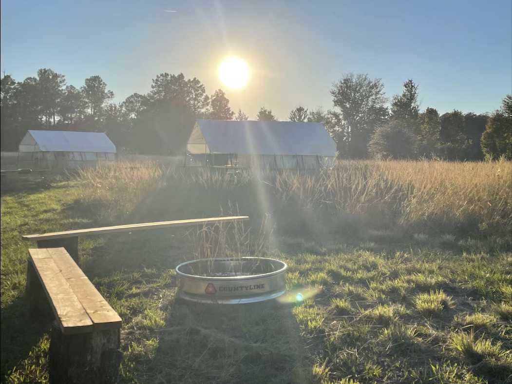 Glamping @ Lake Louisa