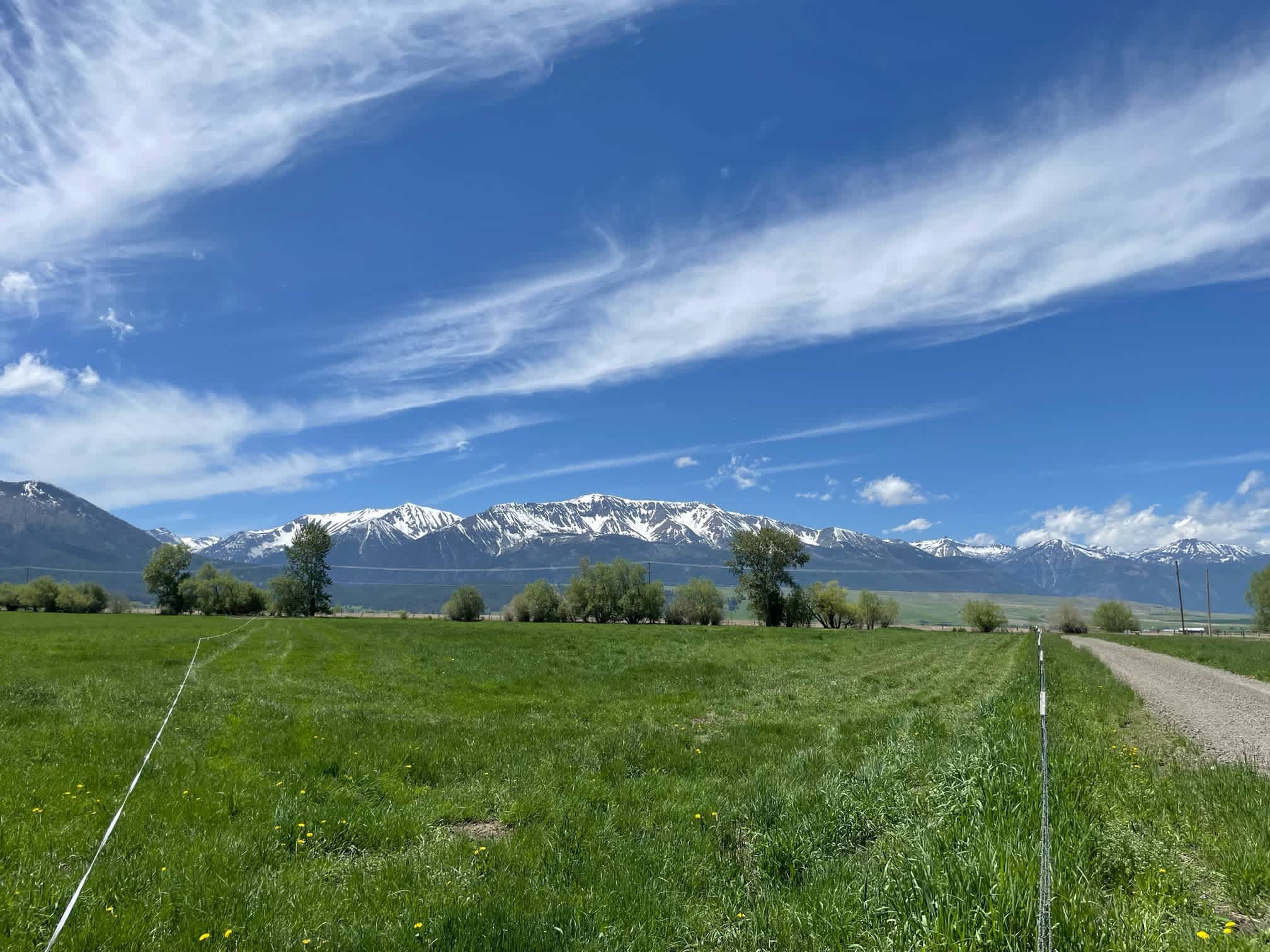 Fluit Farms