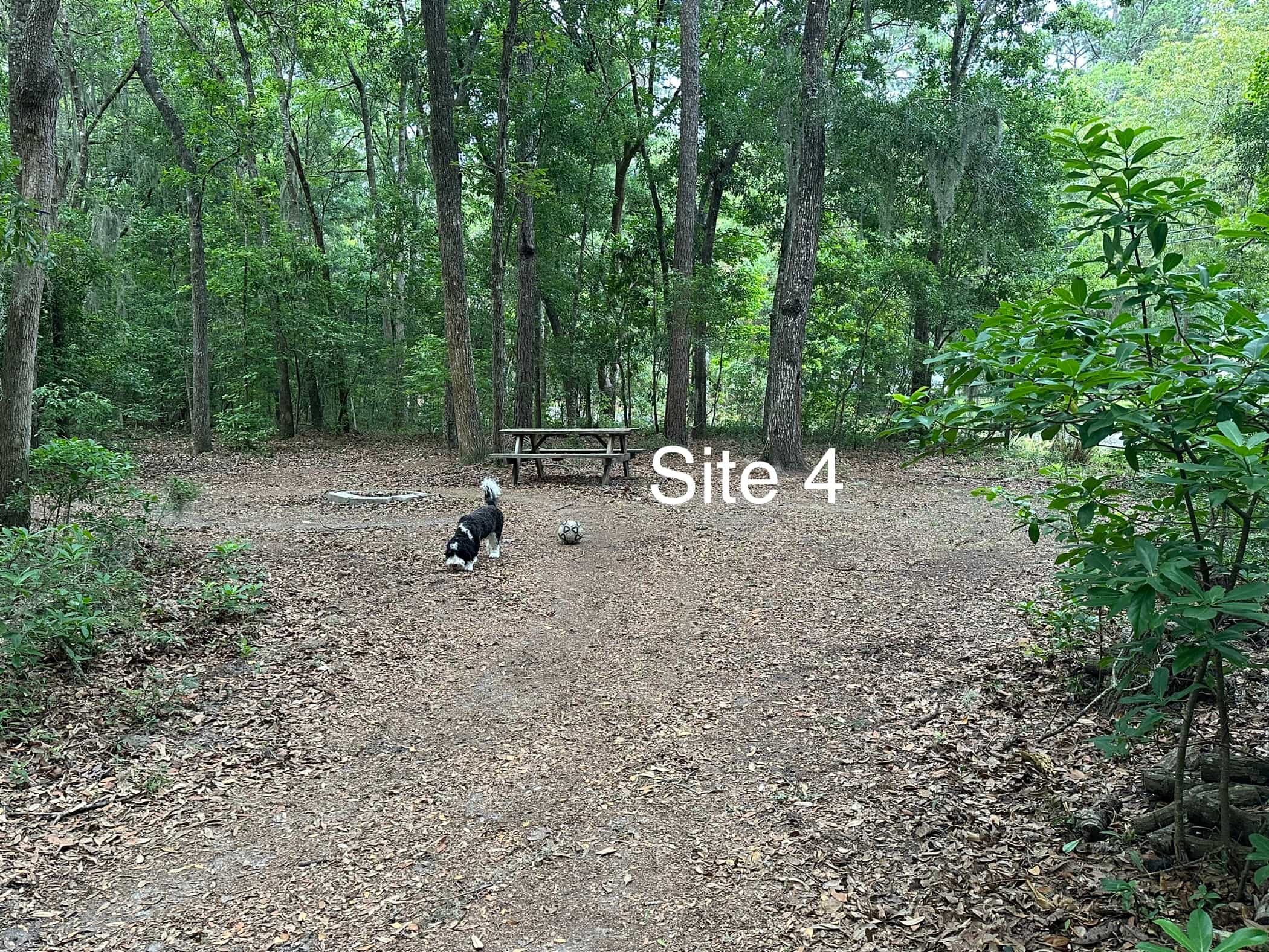 Site 4 has its own picnic table, fire pit and electricity.
