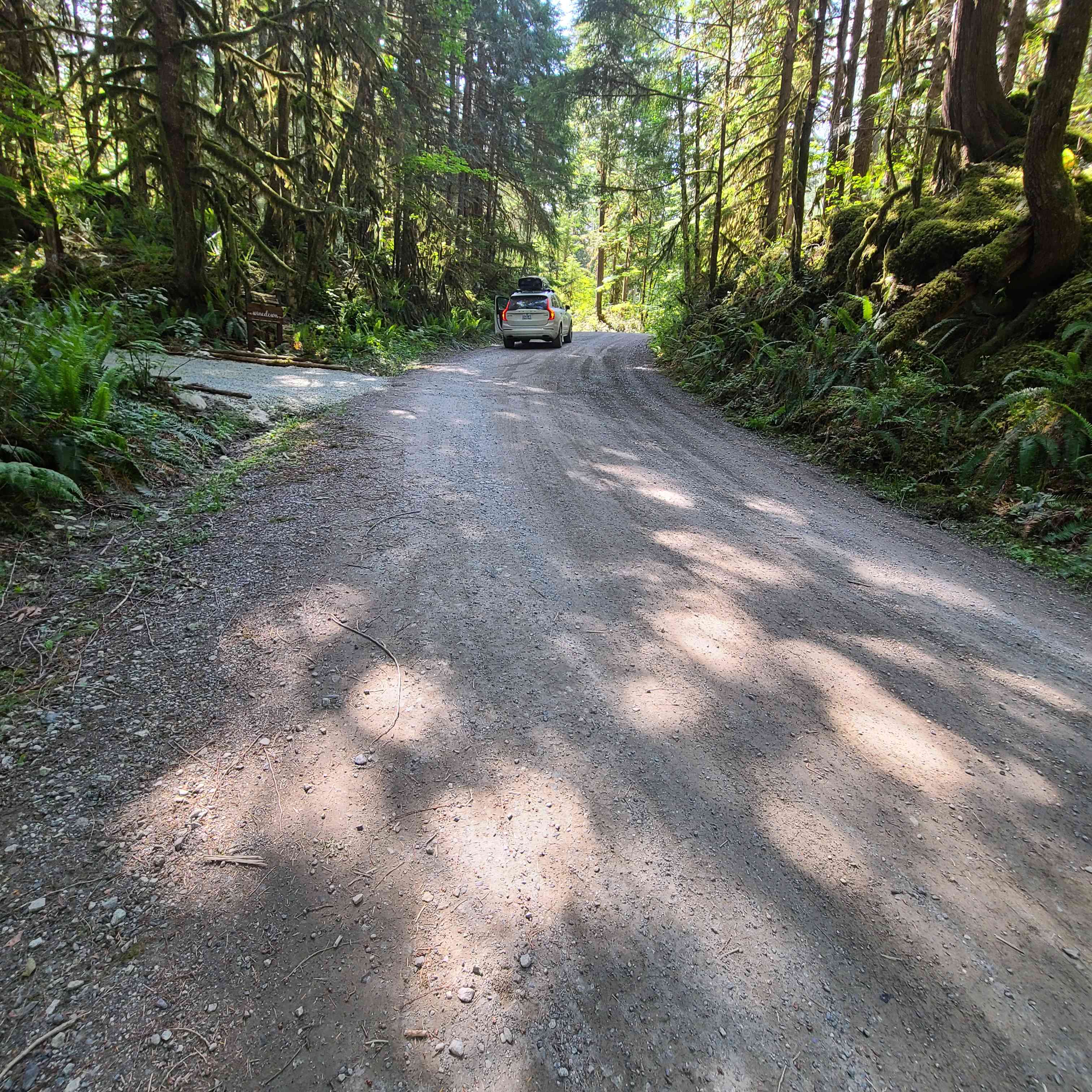Visual for RV backing