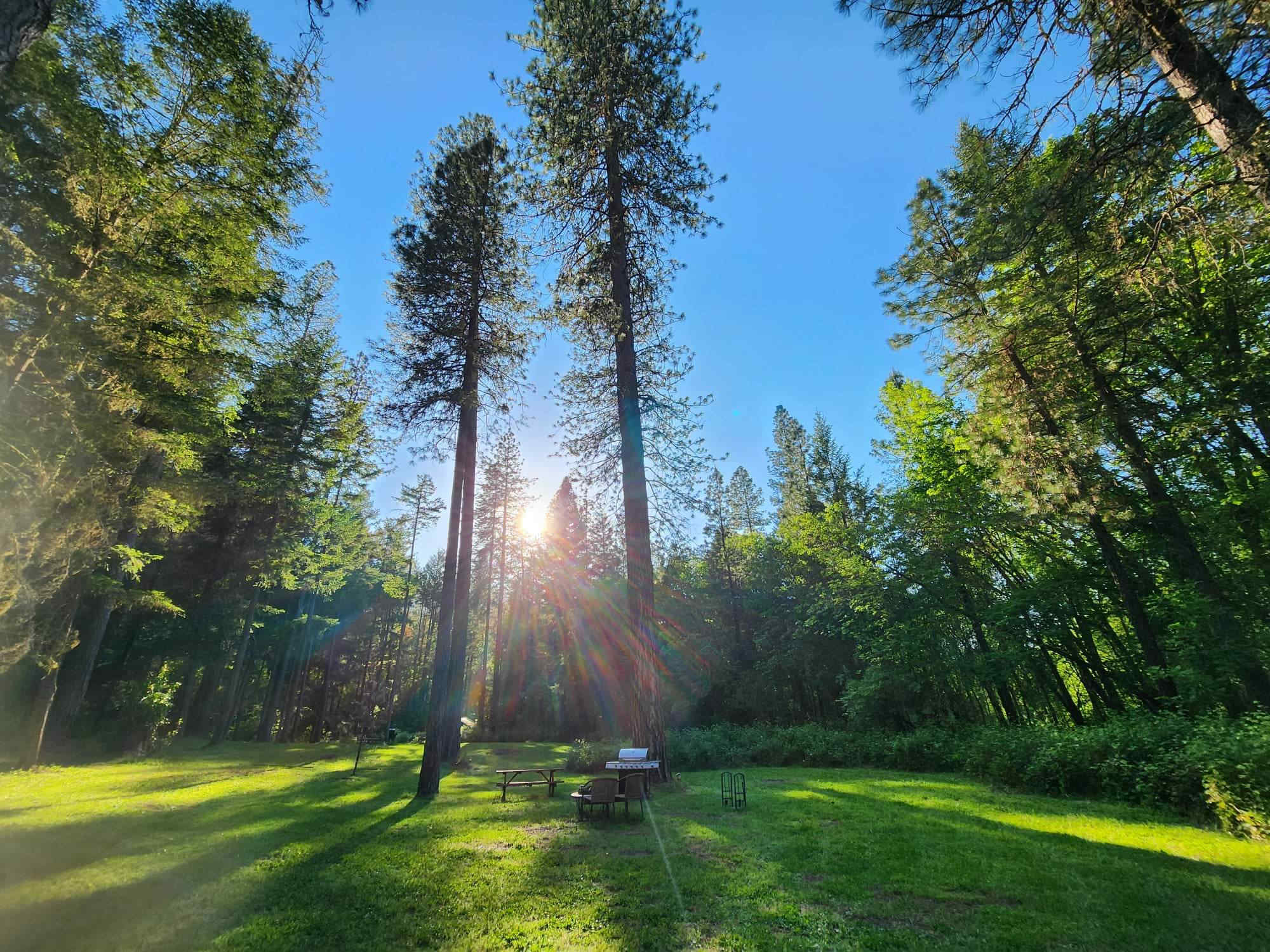 Hidden Forest Get-away