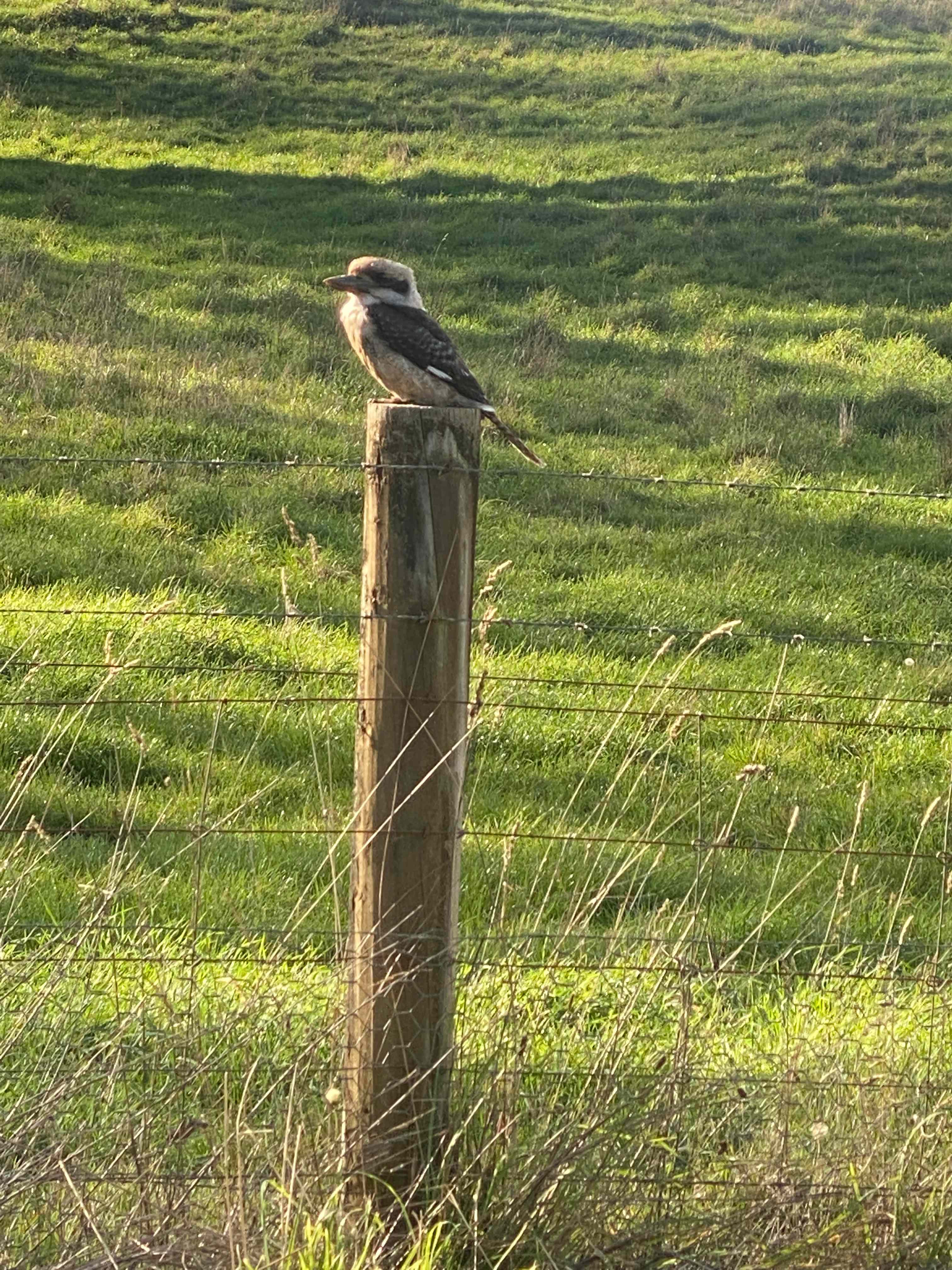 Peace in the Valley