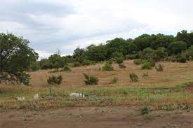 Hidden Valley Ranch