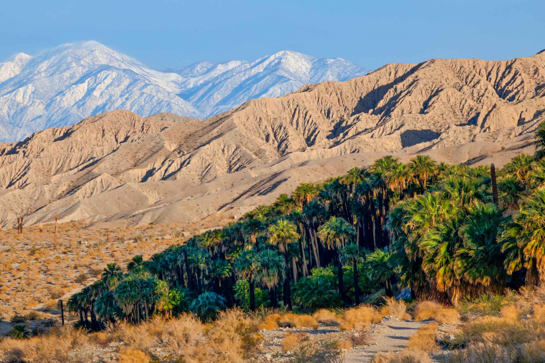 Sand to Snow National Monument
