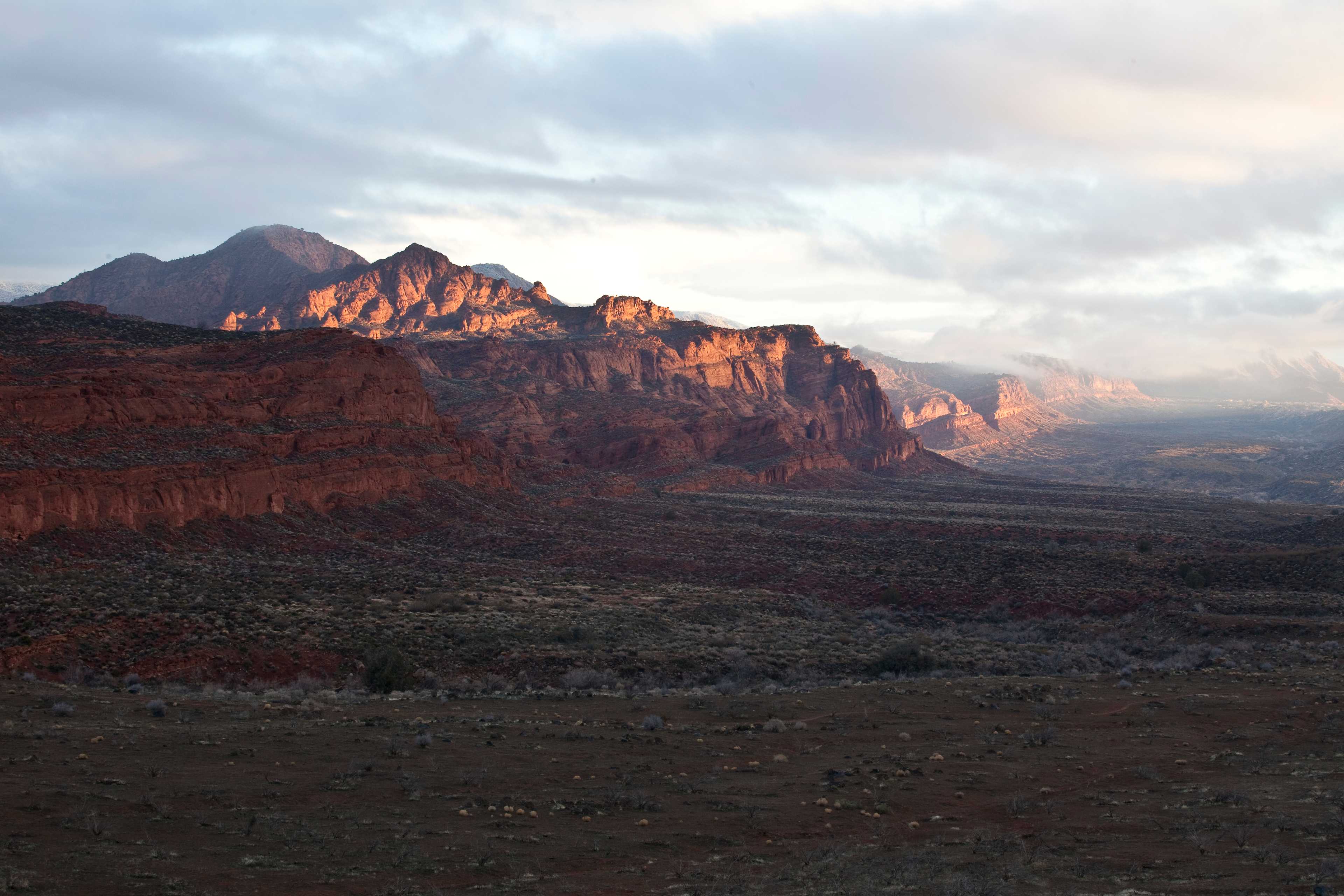 Red Cliffs National Conservation Area
