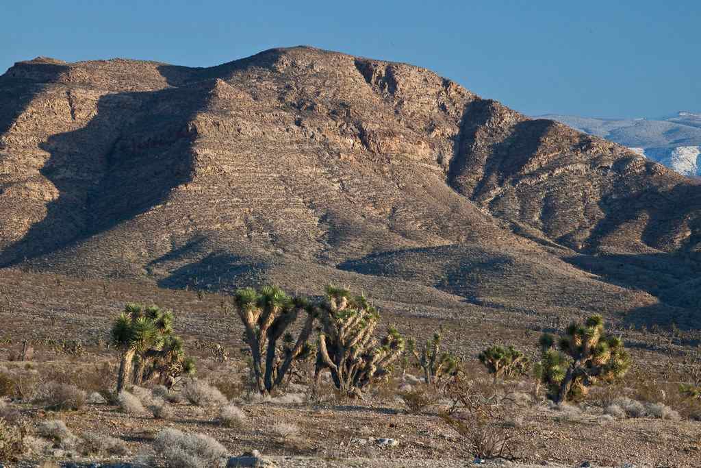 Beaver Dam Wash National Conservation Area