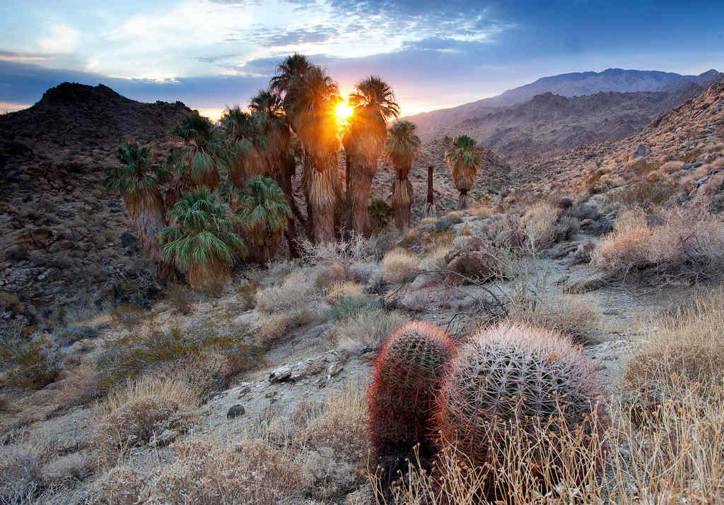 Santa Rosa and San Jacinto Mountains National Monument