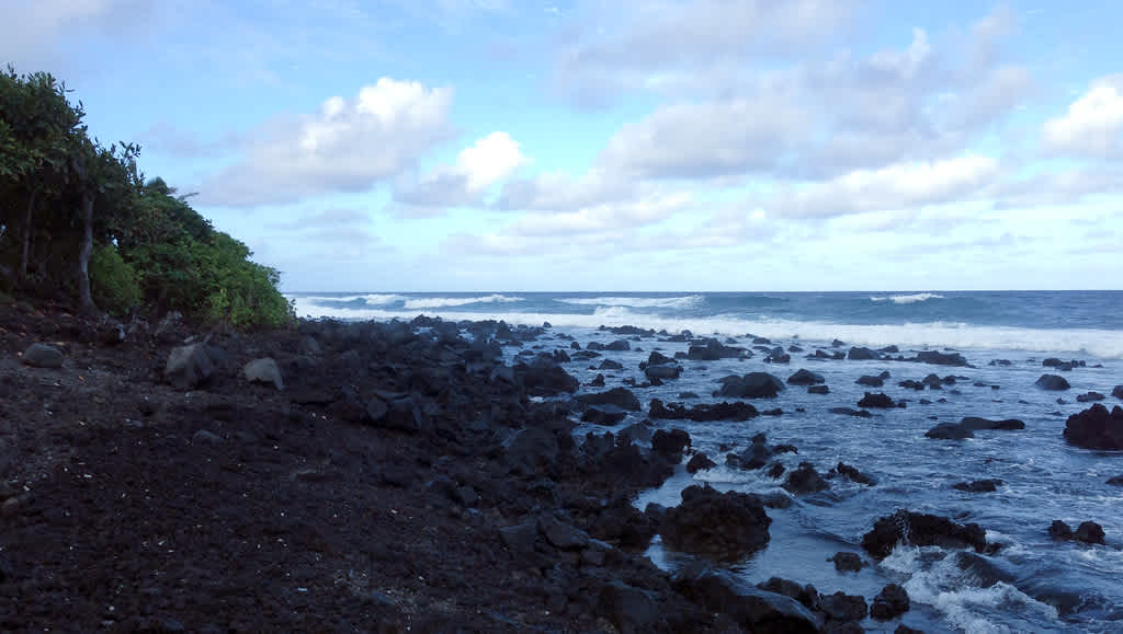 Isaac Hale Beach Park